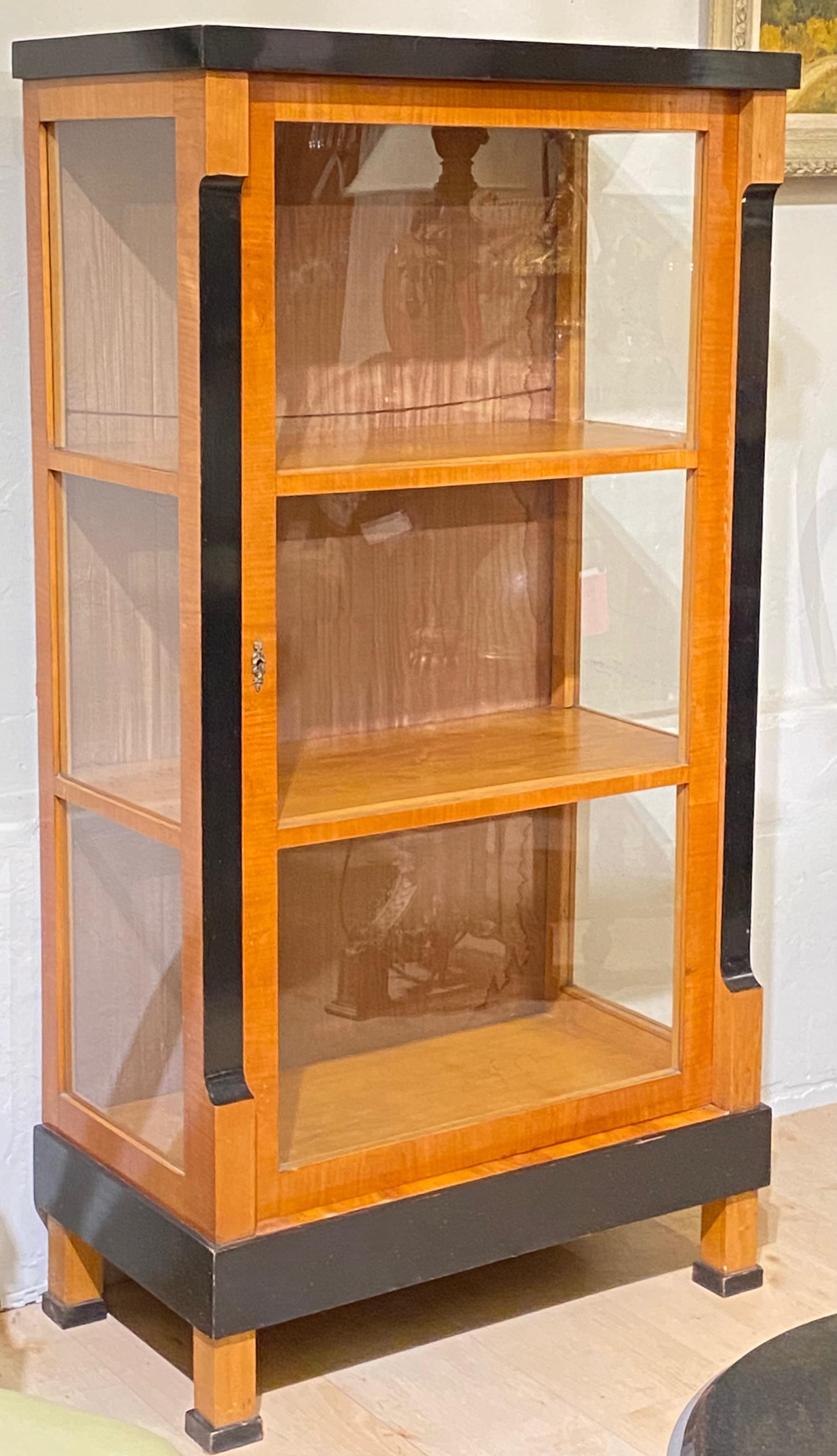 Glass Biedermeier Cherrywood Vitrine Cabinet, Austrian circa 1820
