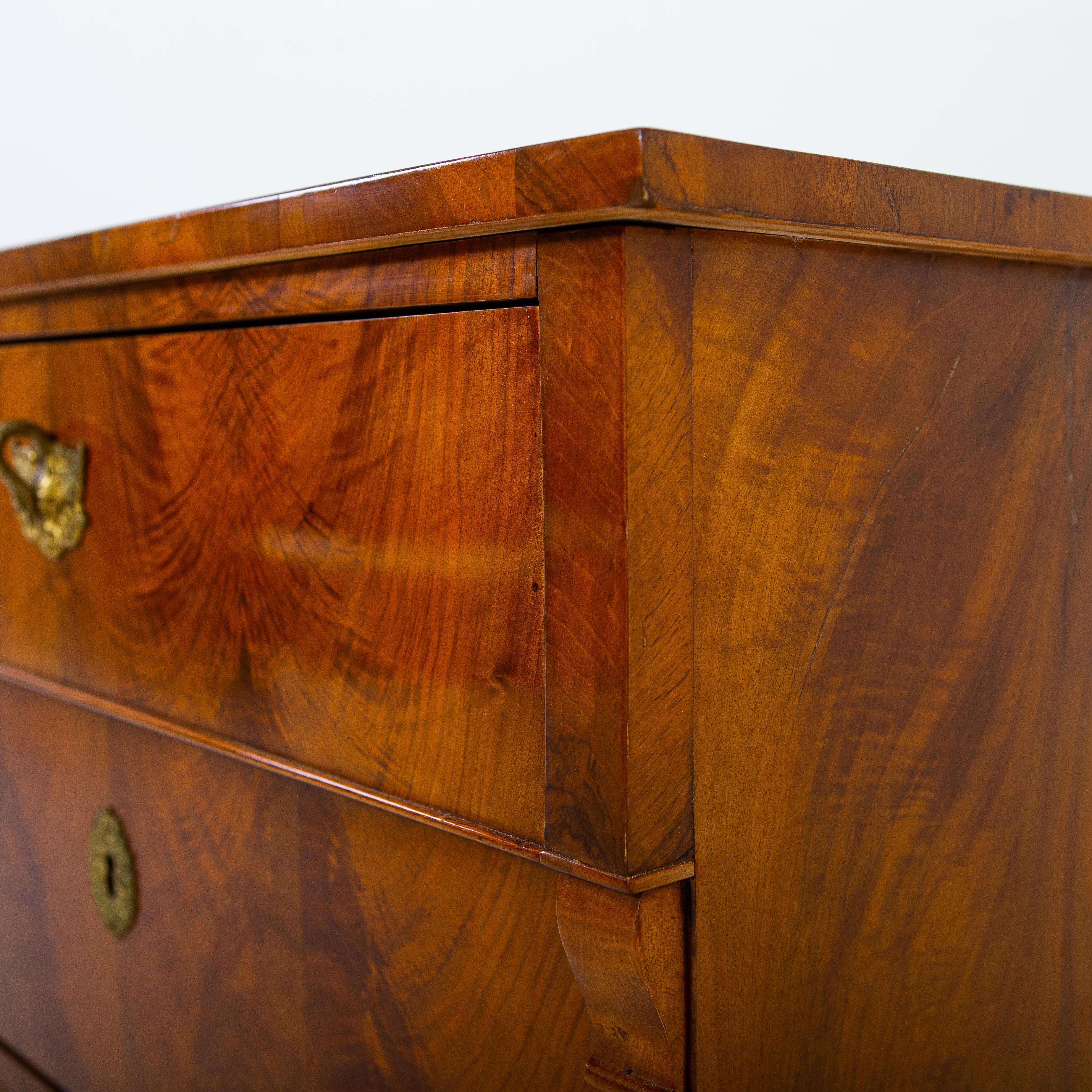 Biedermeier Chest of Drawers, Central Germany, Probably Hesse C. 1830  4