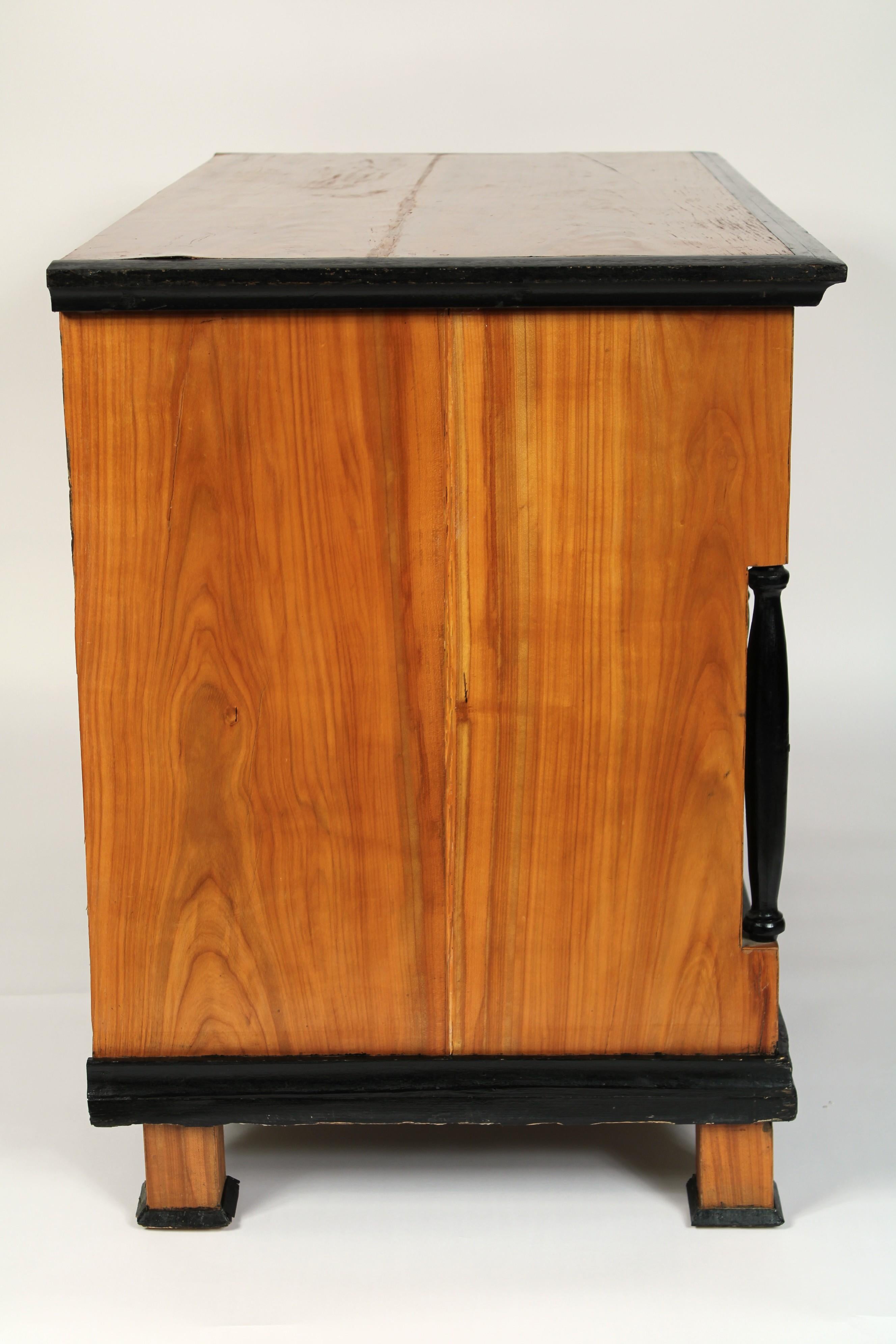 Mid-19th Century Biedermeier Chest of Drawers For Sale
