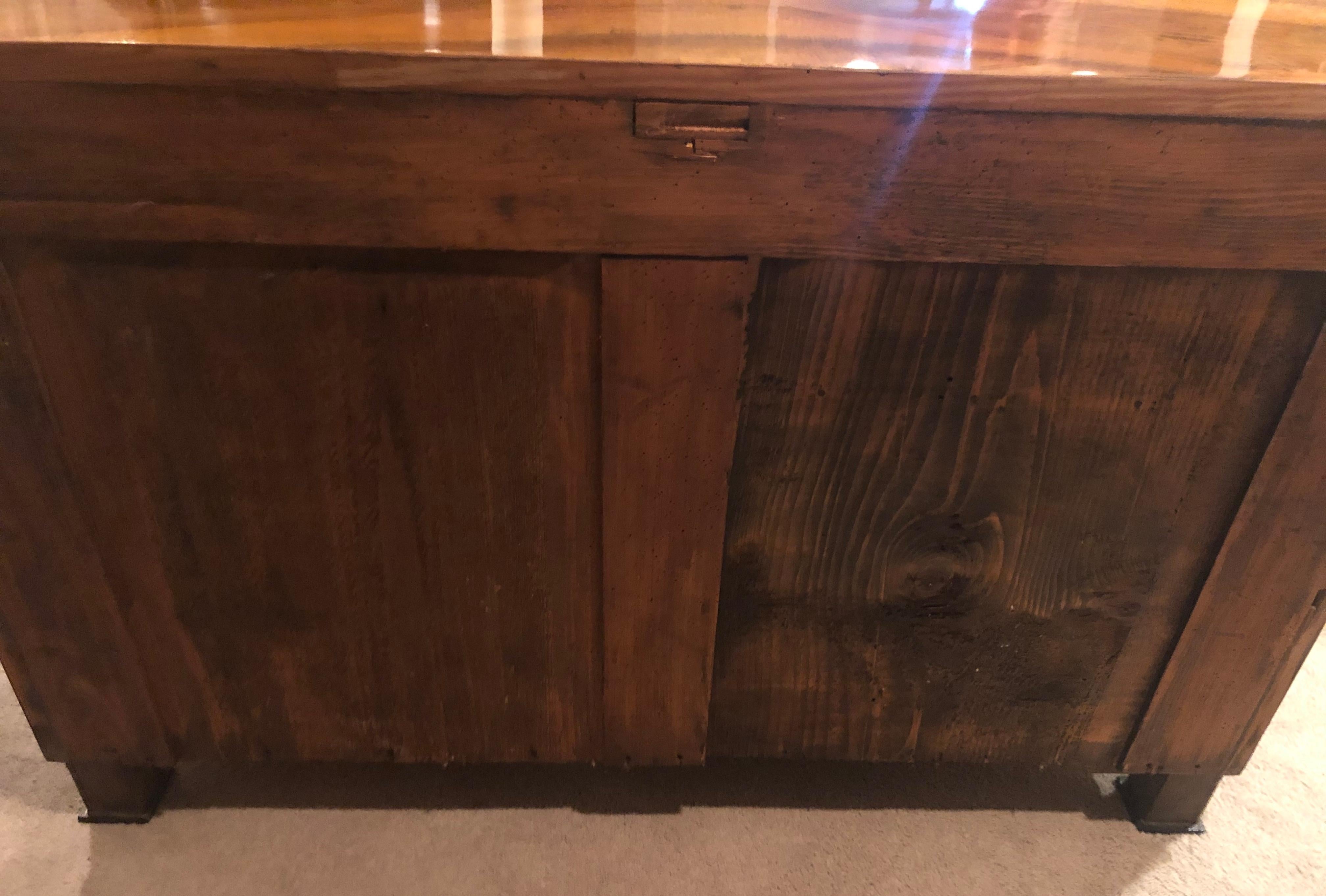 Biedermeier Chest of Drawers, Germany 1820-1825, Walnut Veneer 2