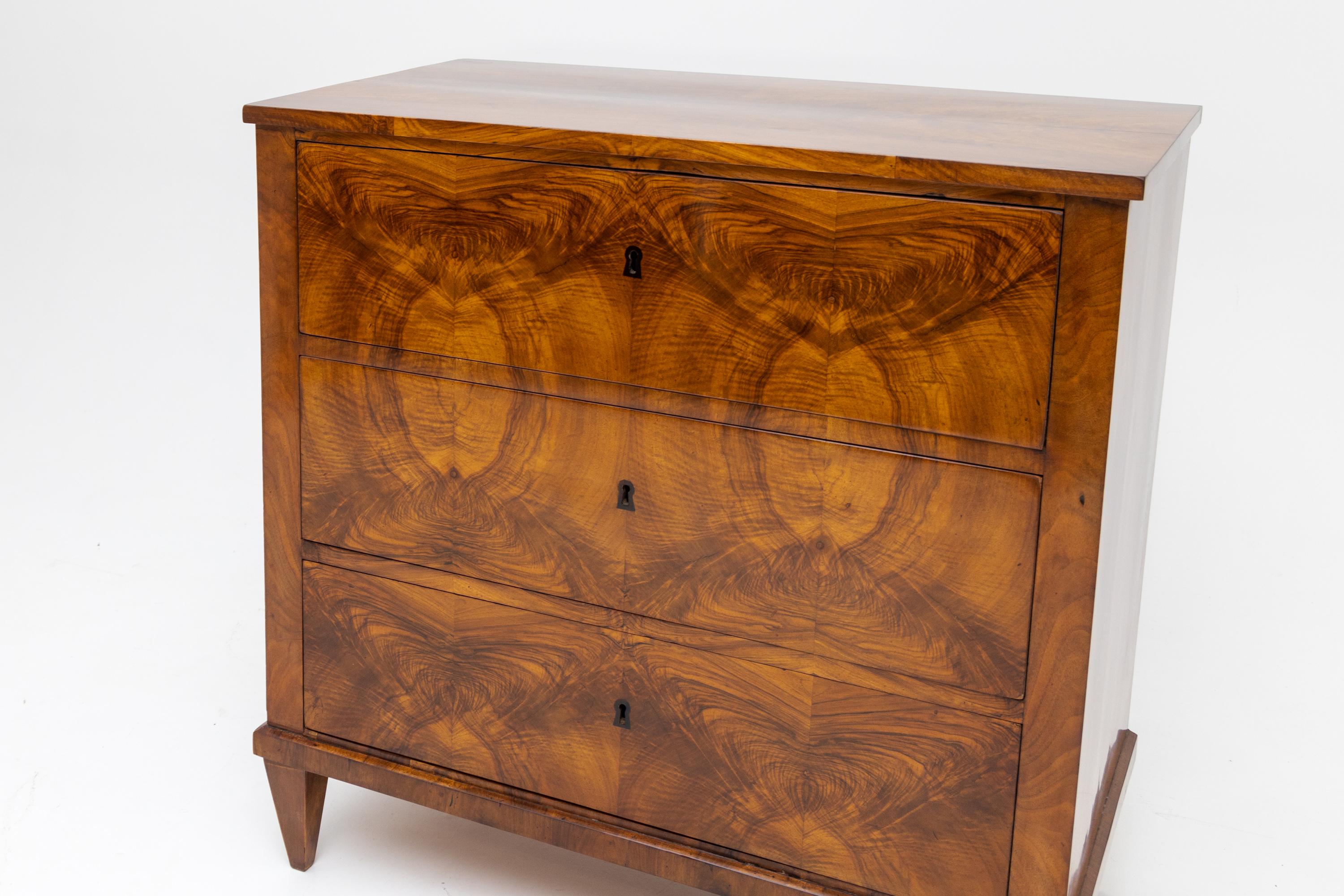 Early 19th Century Biedermeier Chest of Drawers, Germany, circa 1820