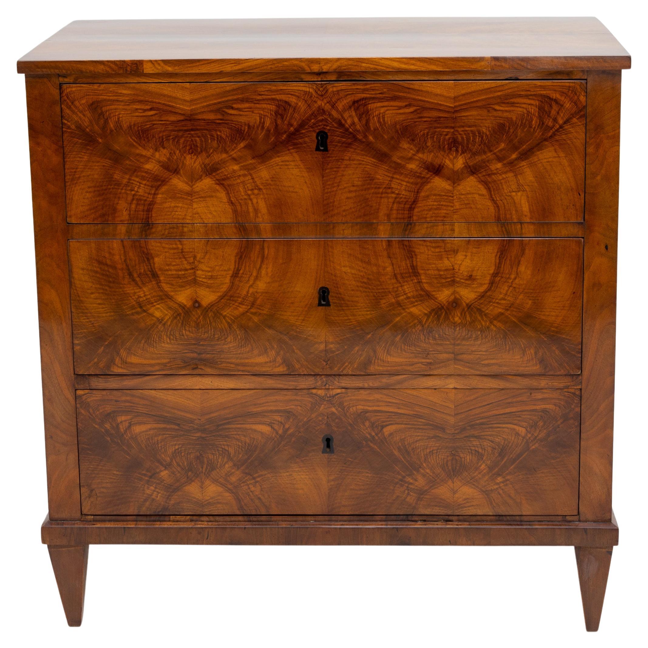 Biedermeier Period Neoclassical Painted Chest of Drawers, Germany c