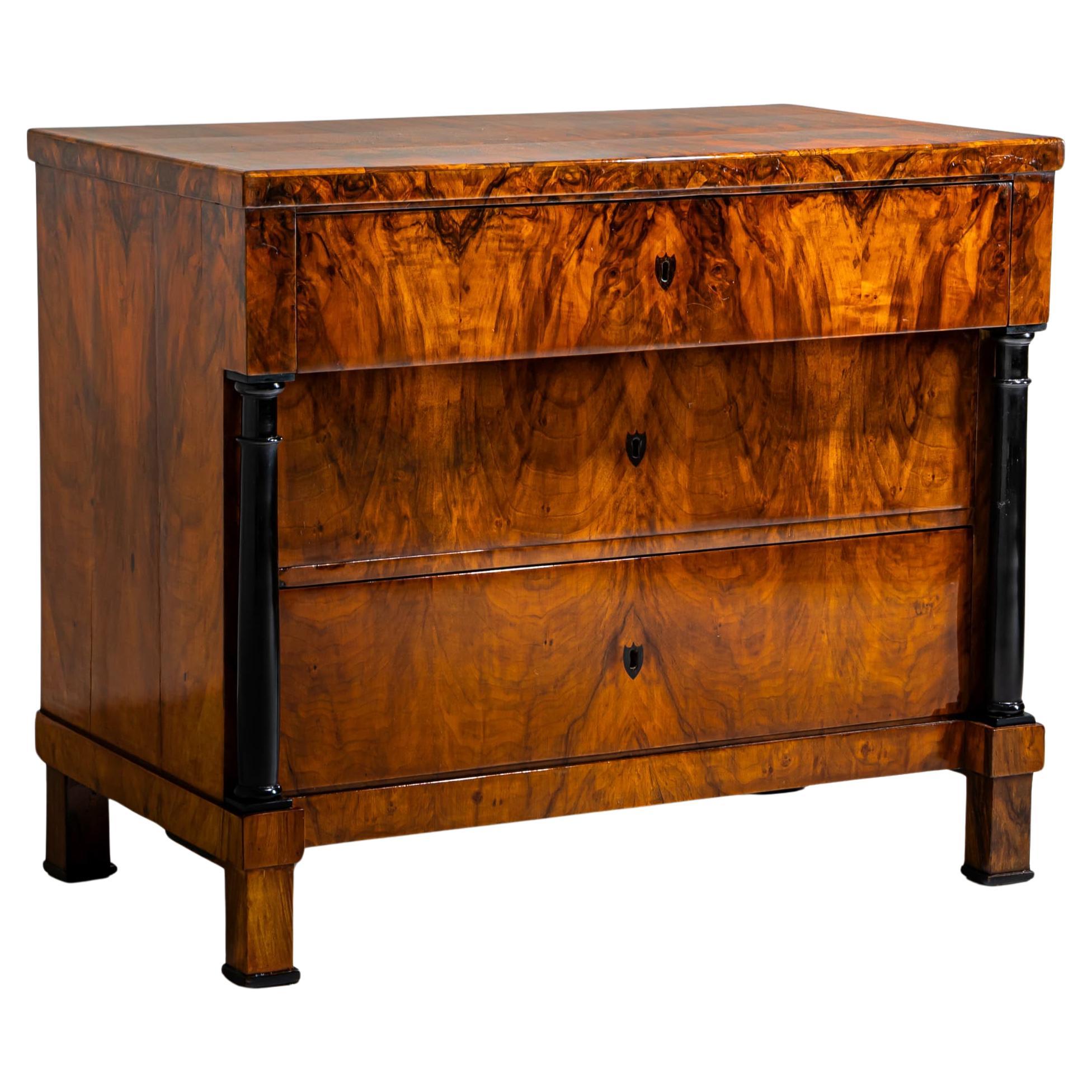 Cassettiera Biedermeier in noce, Germania, 1820 circa