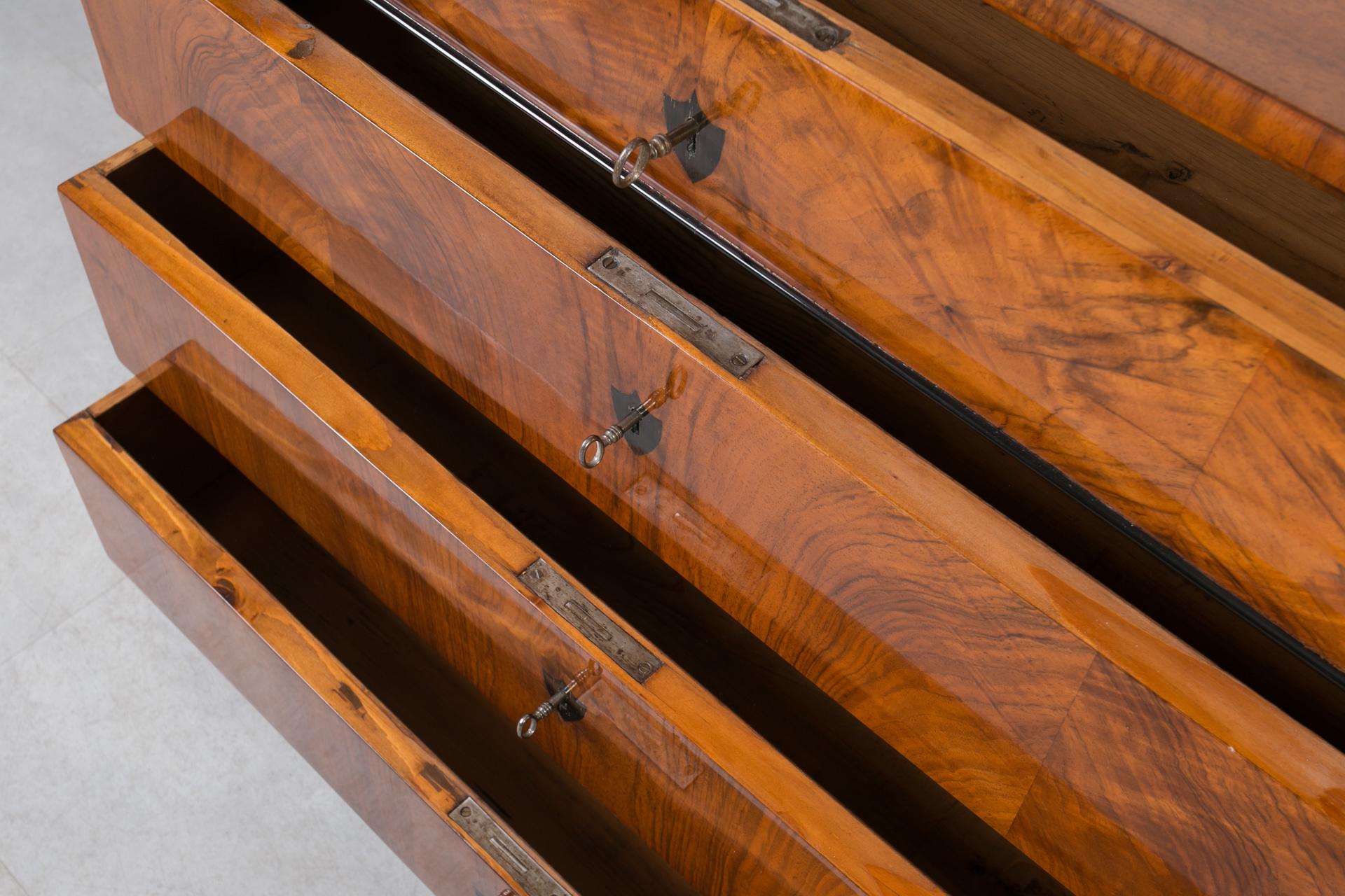 Biedermeier Chest of Drawers in Walnut Veneer, Germany, 19th Century For Sale 7