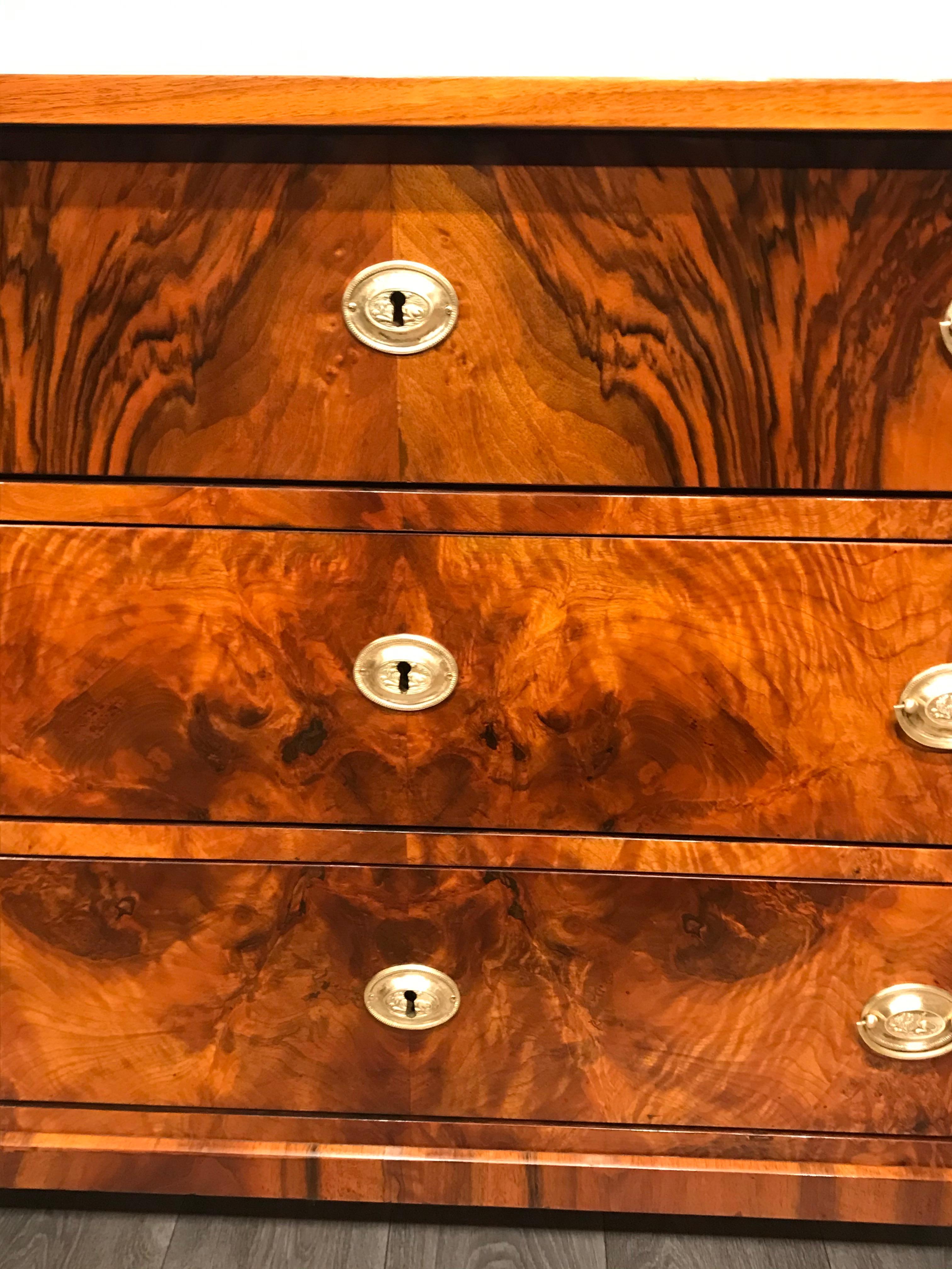 Biedermeier Chest of drawers, South German, 1820 In Good Condition In Belmont, MA