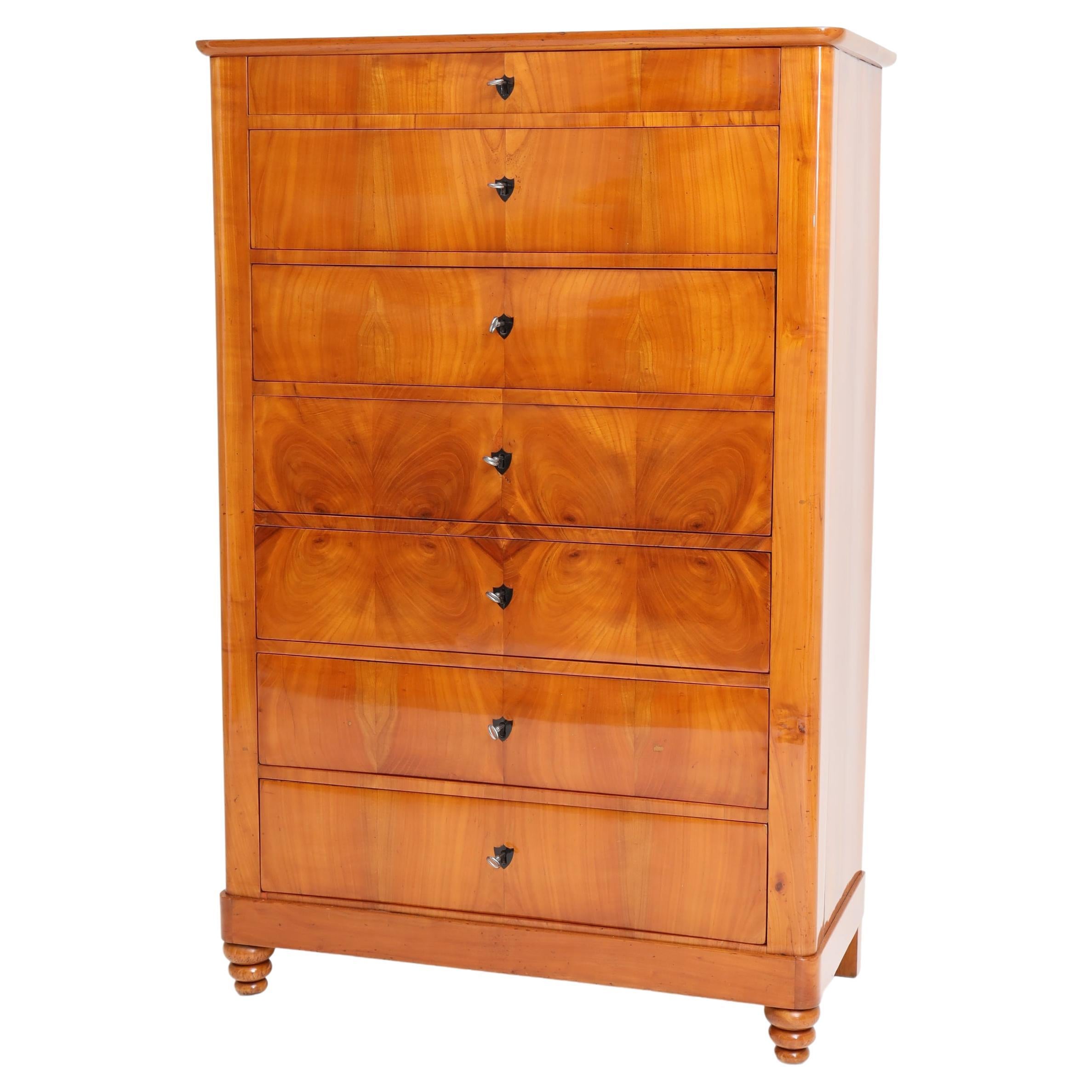 Biedermeier Chest of Drawers, Germany, circa 1820 at 1stDibs