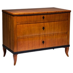 Biedermeier Chest of Drawers, Southern Germany, circa 1820