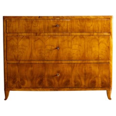 Antique Biedermeier Chest of Drawers, Southern Germany, Munich, circa 1830