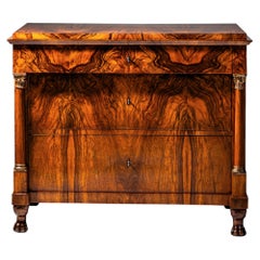 Biedermeier Chest of Drawers with Lion Paw Feet, Germany, Early 19th Century