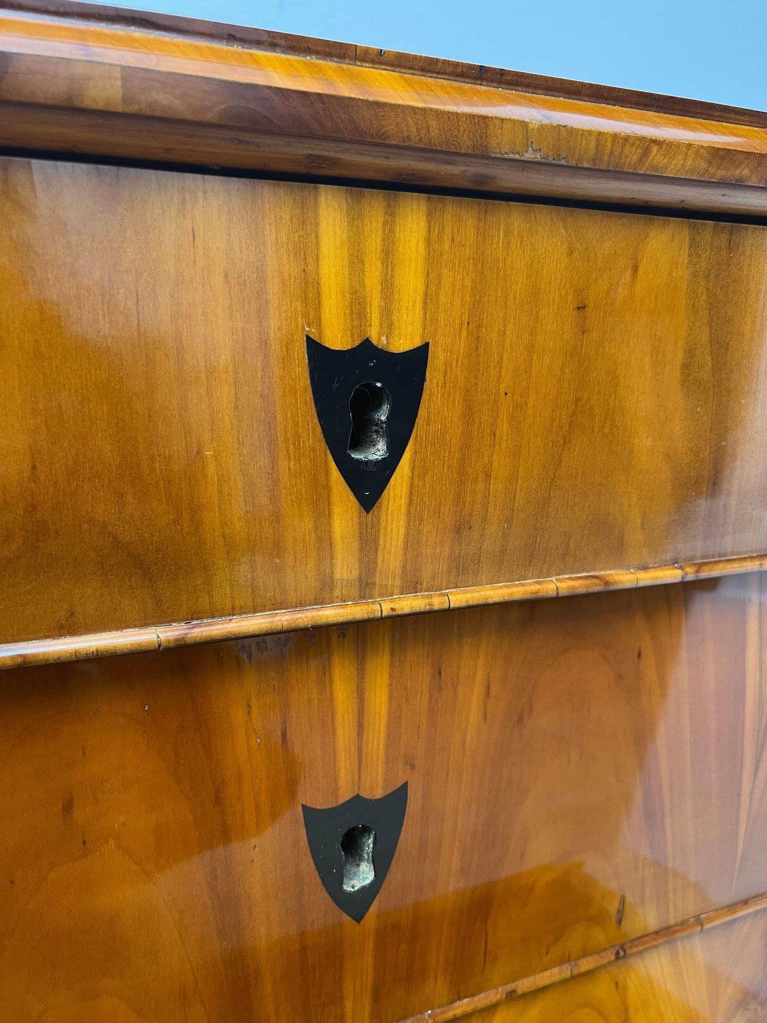 Biedermeier Commode, Cherry Veneer, Ebonized, South Germany, circa 1830 in vendita 4