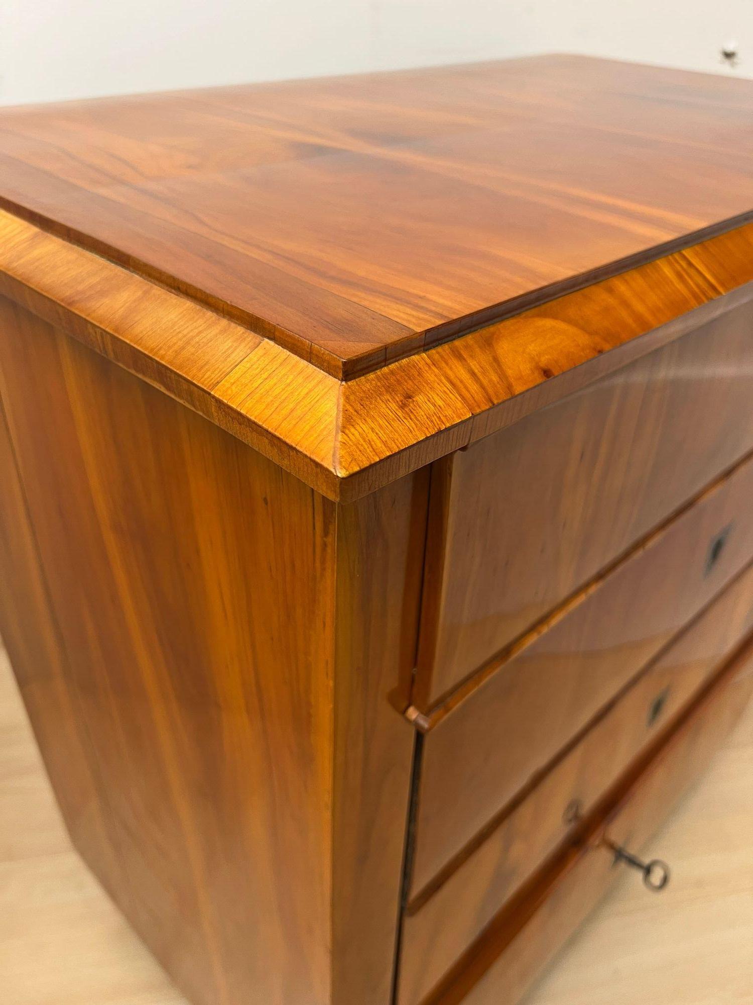 Biedermeier Commode, Cherry Veneer, Ebonized, South Germany, circa 1830 in vendita 3
