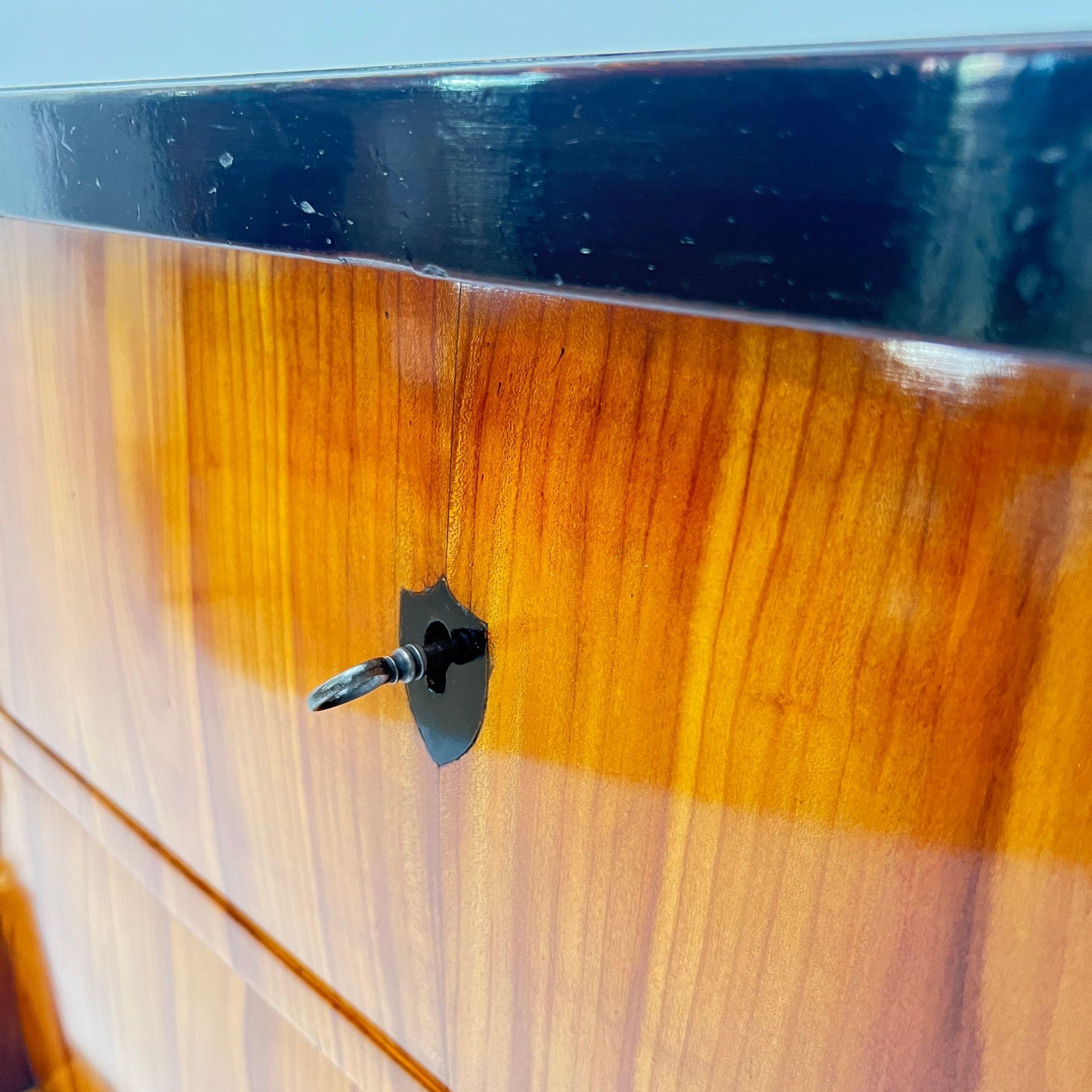 Biedermeier Commode, Cherry Wood, Ebonized, Gilded, Franconia circa 1820 For Sale 7
