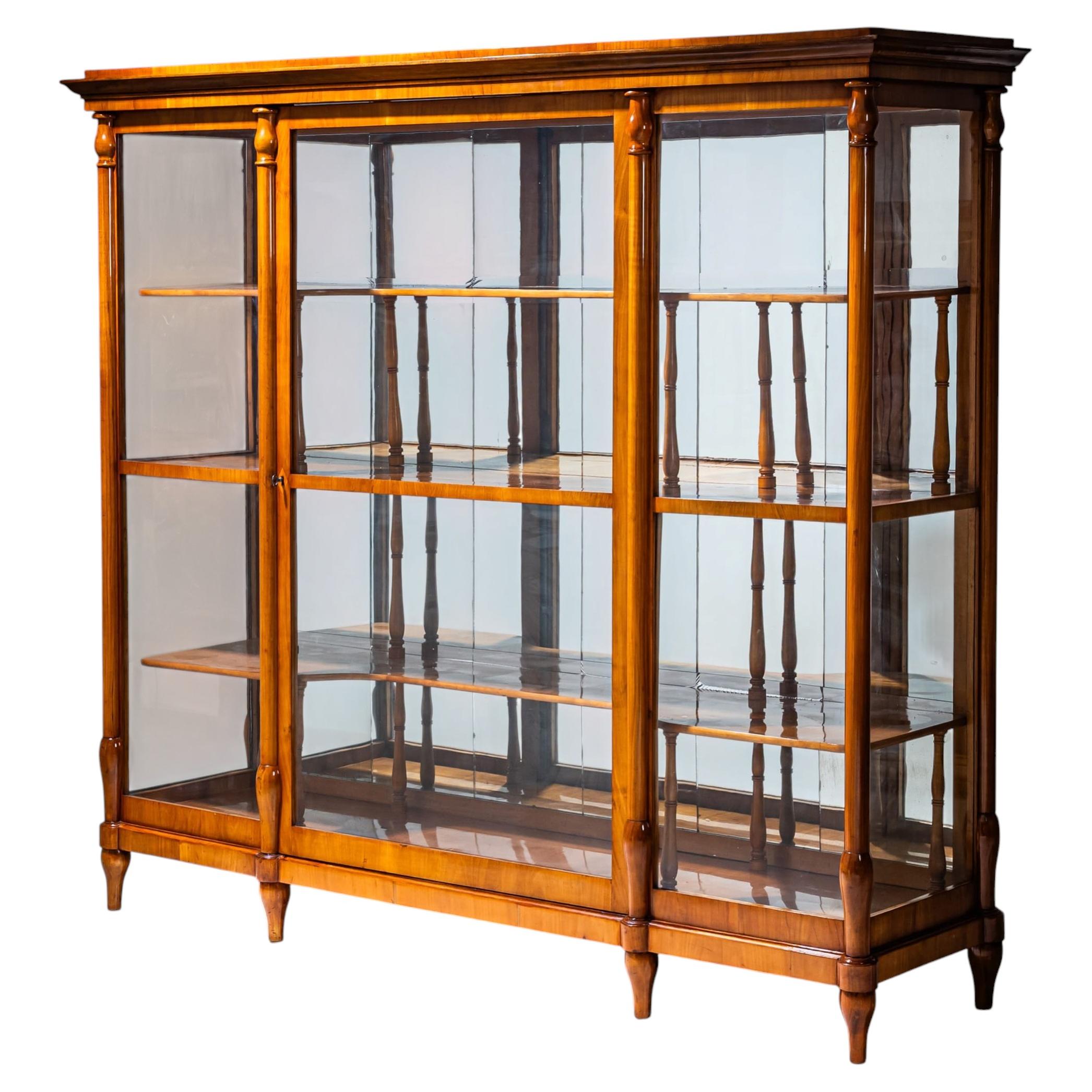 Biedermeier Display Cabinet, probably Austro-Hungarian Empire, circa 1830