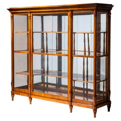 Biedermeier Display Cabinet, probably Austro-Hungarian Empire, circa 1830