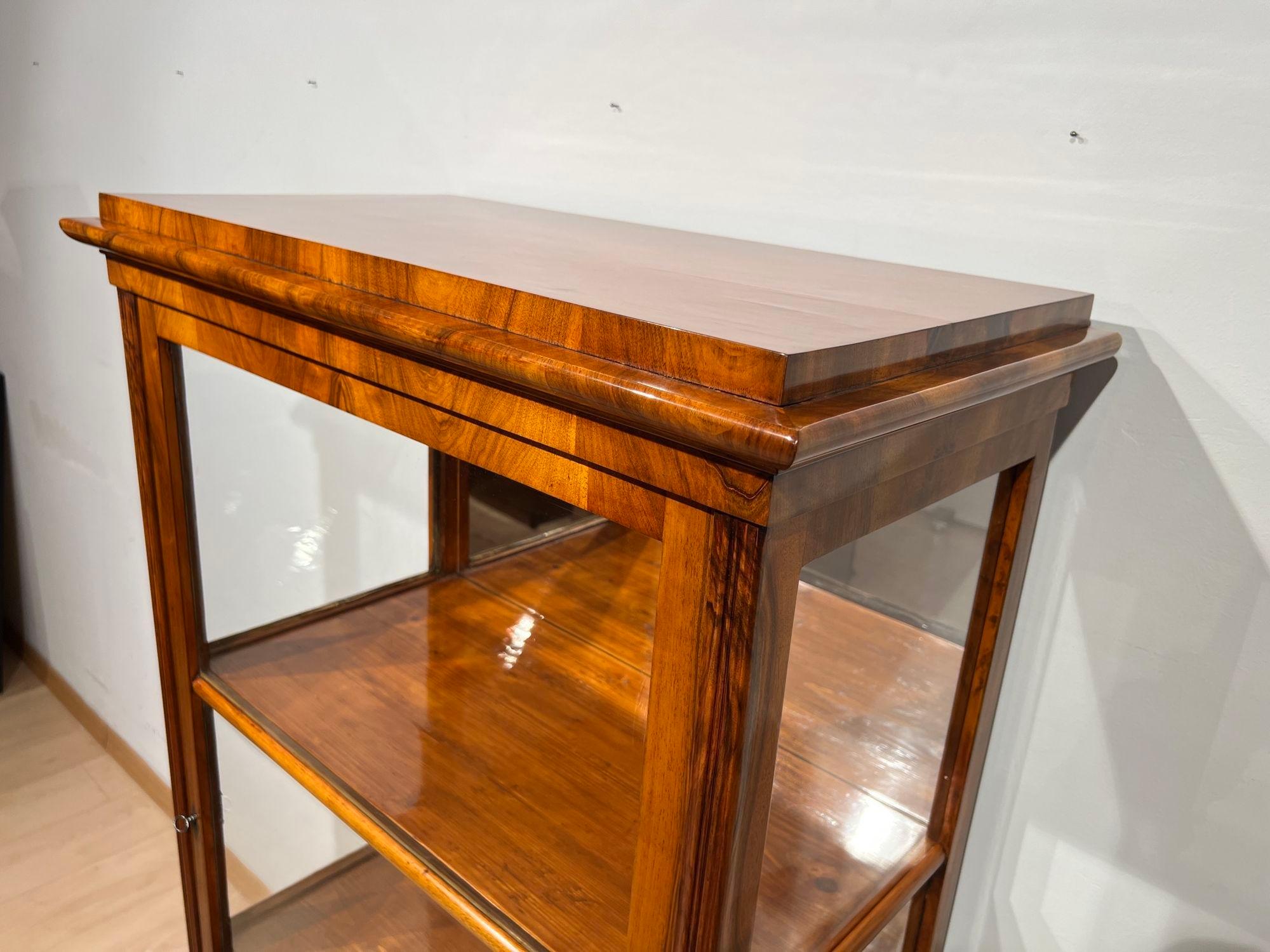 Biedermeier Display Case, Walnut, 3 Sides Glass, South Germany circa 1830 6