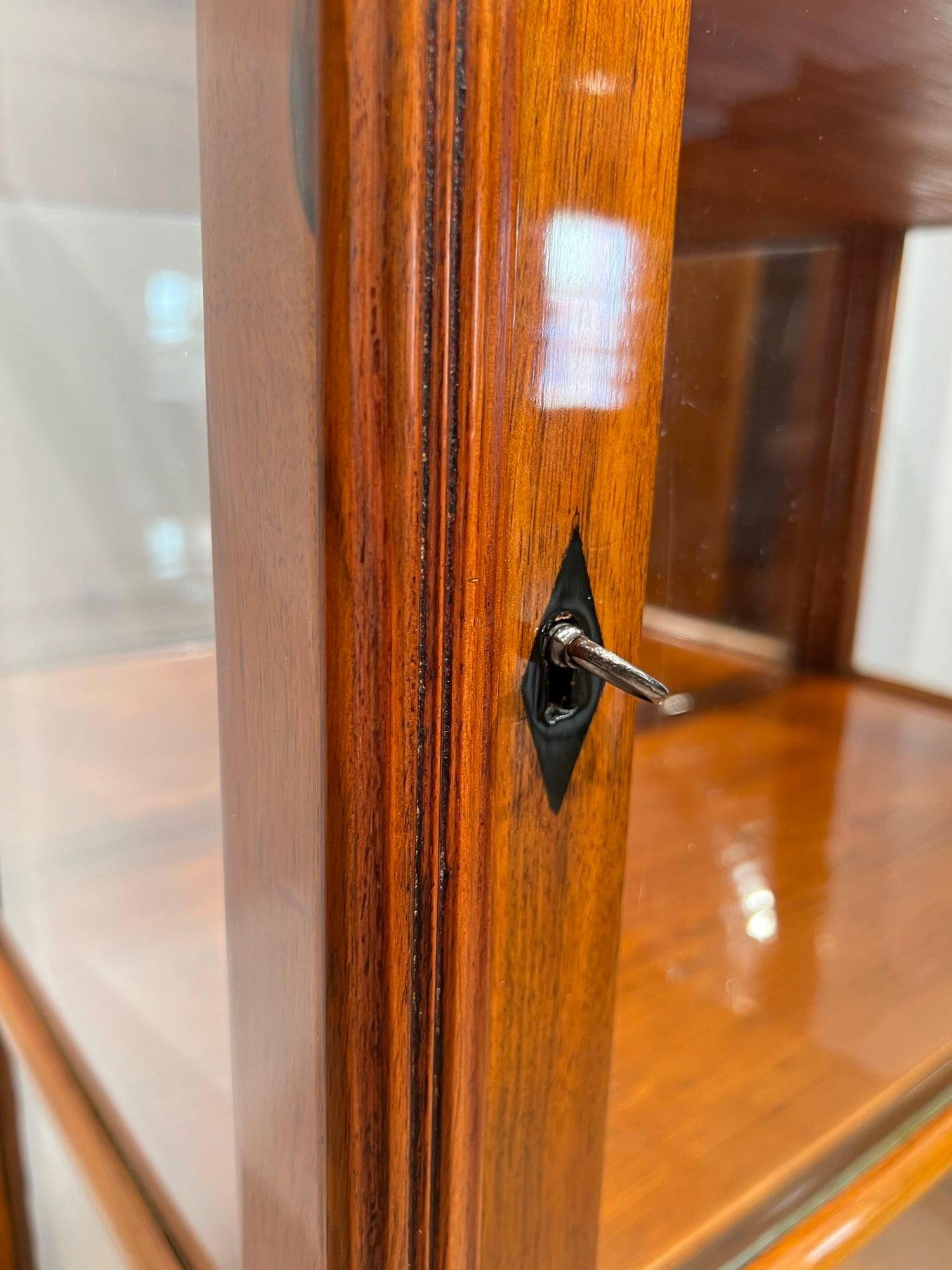 Biedermeier Display Case, Walnut, 3 Sides Glass, South Germany circa 1830 10