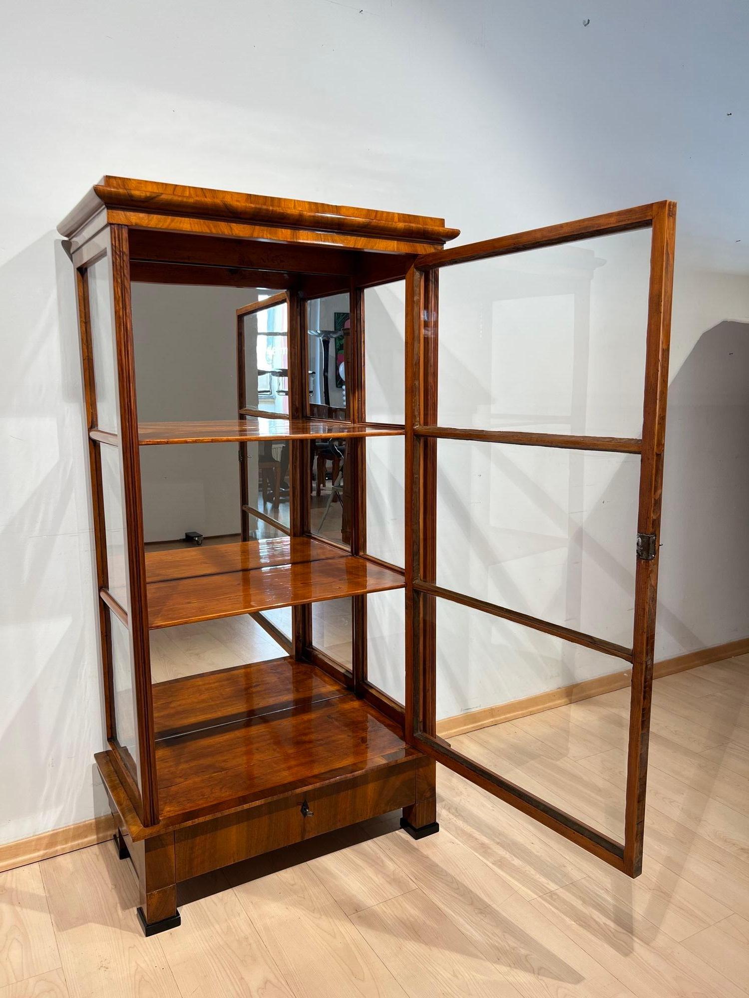 Early 19th Century Biedermeier Display Case, Walnut, 3 Sides Glass, South Germany circa 1830