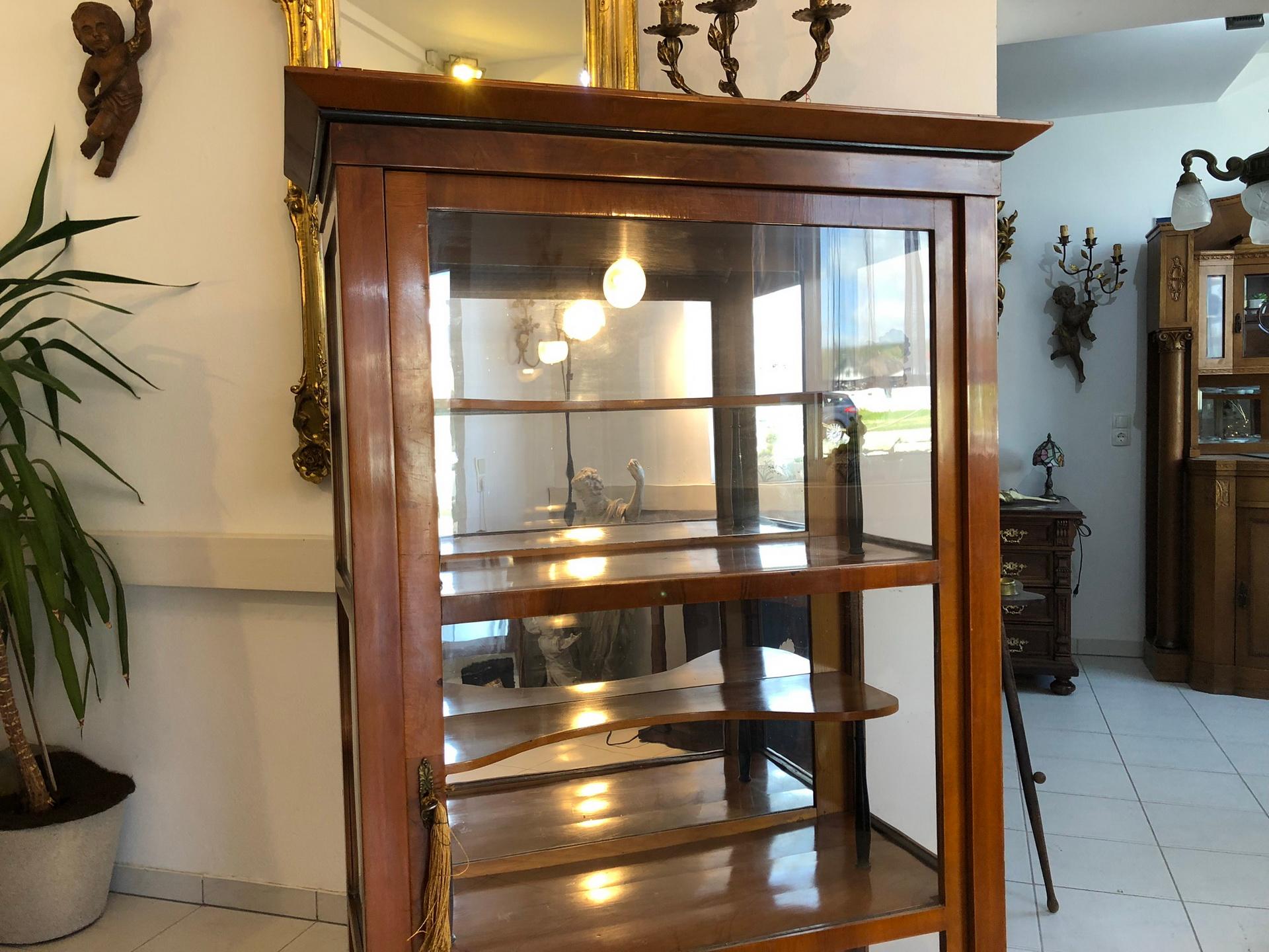 Hand-Crafted Biedermeier Era Bookcase or Collectors Vitrine from circa 1845 For Sale
