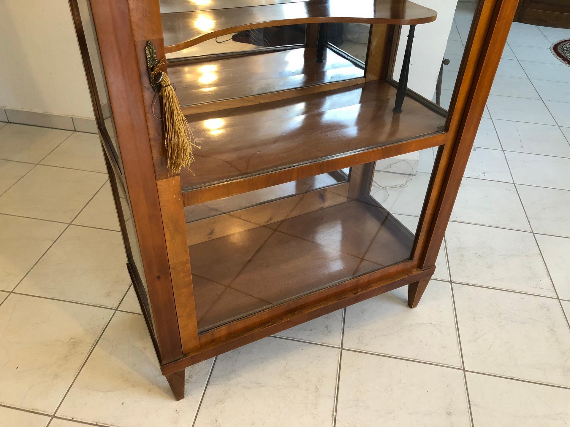 Biedermeier Era Bookcase or Collectors Vitrine from circa 1845 For Sale 1