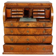 Biedermeier Mahogany Root Secretaire, circa 1820