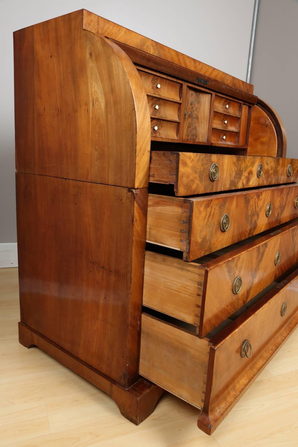 Biedermeier Mahogany Root Secretaire, circa 1820 In Good Condition For Sale In Chicago, IL