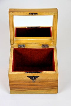 Biedermeier Nut Wood Jewelry Box with Ebonized Edges, Austria, circa 1840