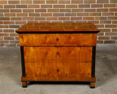 Biedermeier Period 19th Century Walnut Butler's Chest with Drop Front Desk