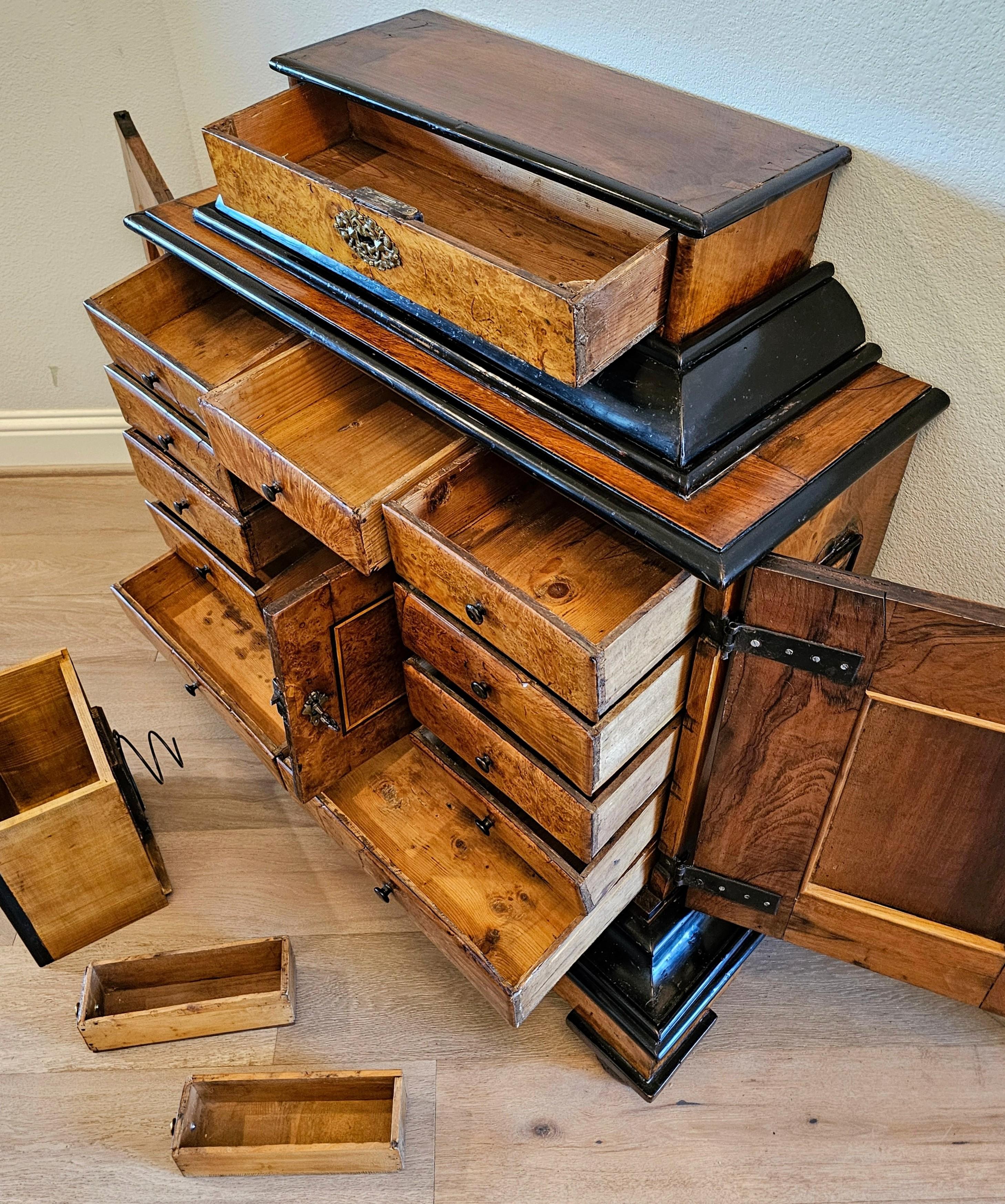Biedermeier Period Burlwood Table Cabinet Of Curiosities Wunderkammer 19th C. For Sale 12