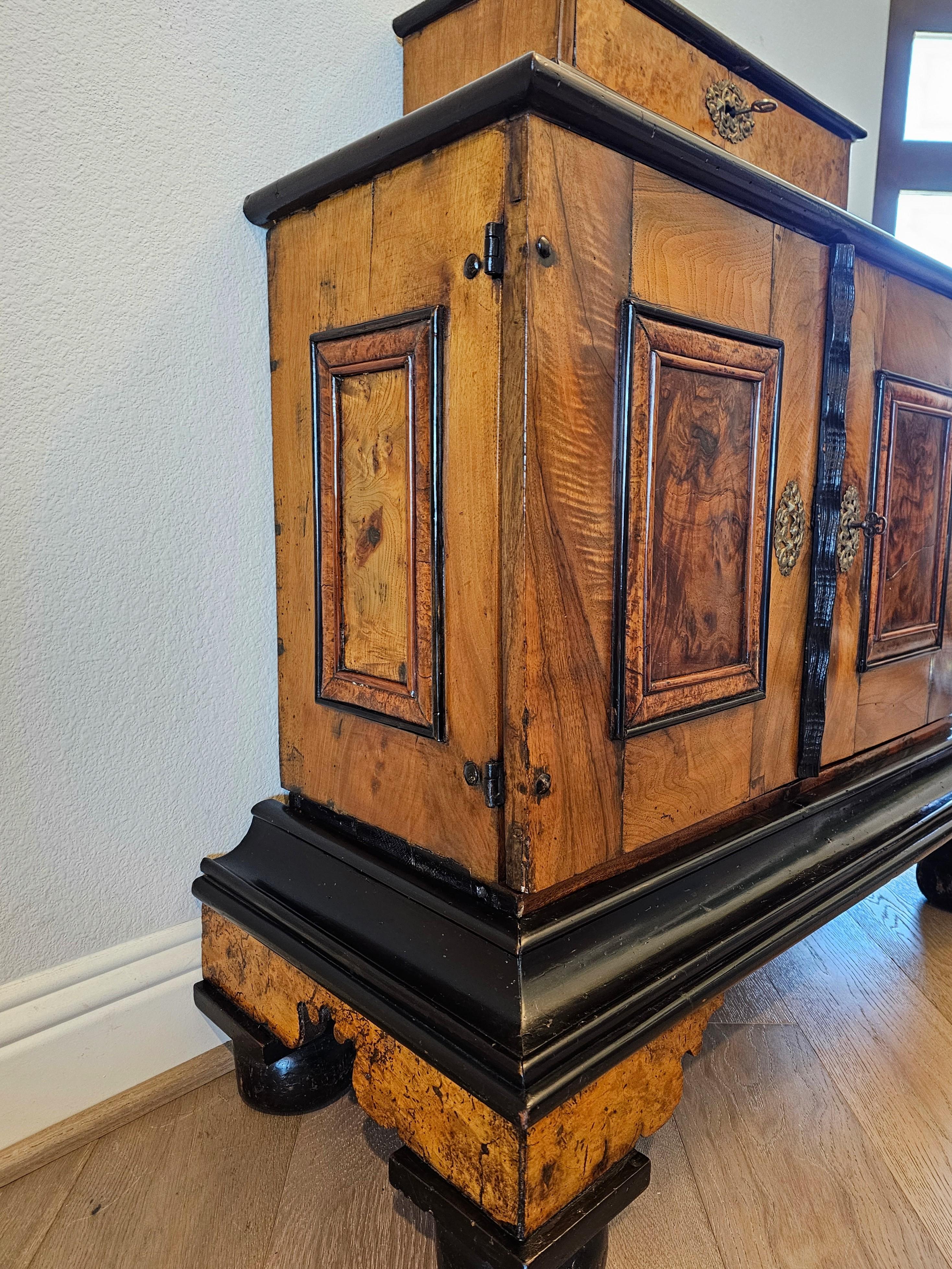 Iron Biedermeier Period Burlwood Table Cabinet Of Curiosities Wunderkammer 19th C. For Sale