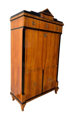 Biedermeier Secretaire, Cherry Veneer, Ebonized, Brass, South Germany circa 1820
