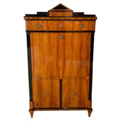 Biedermeier Secretaire, Cherry Veneer, Ebonized, Brass, South Germany circa 1820
