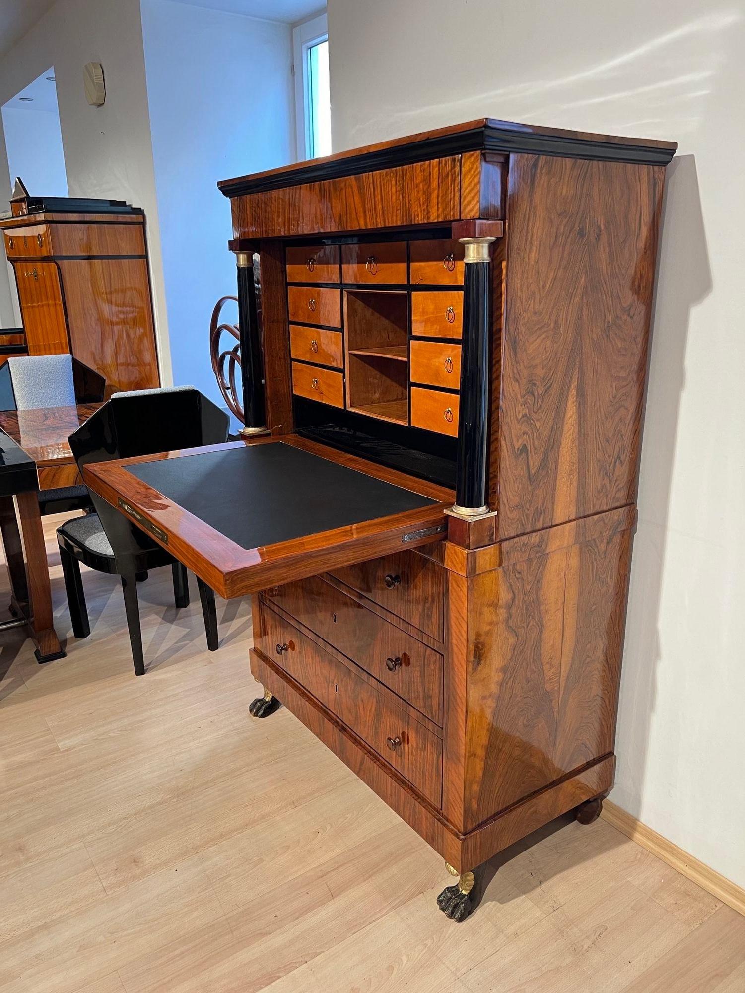 Biedermeier Secretaire, Walnut, Maple, Paw Feet, Austria circa 1820 im Angebot 3