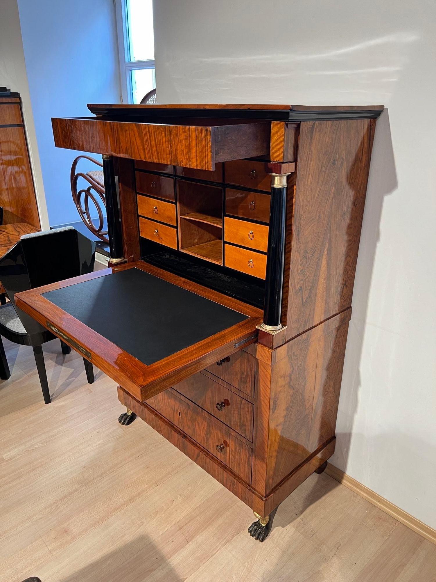 Biedermeier Secretaire, Walnut, Maple, Paw Feet, Austria circa 1820 im Angebot 5