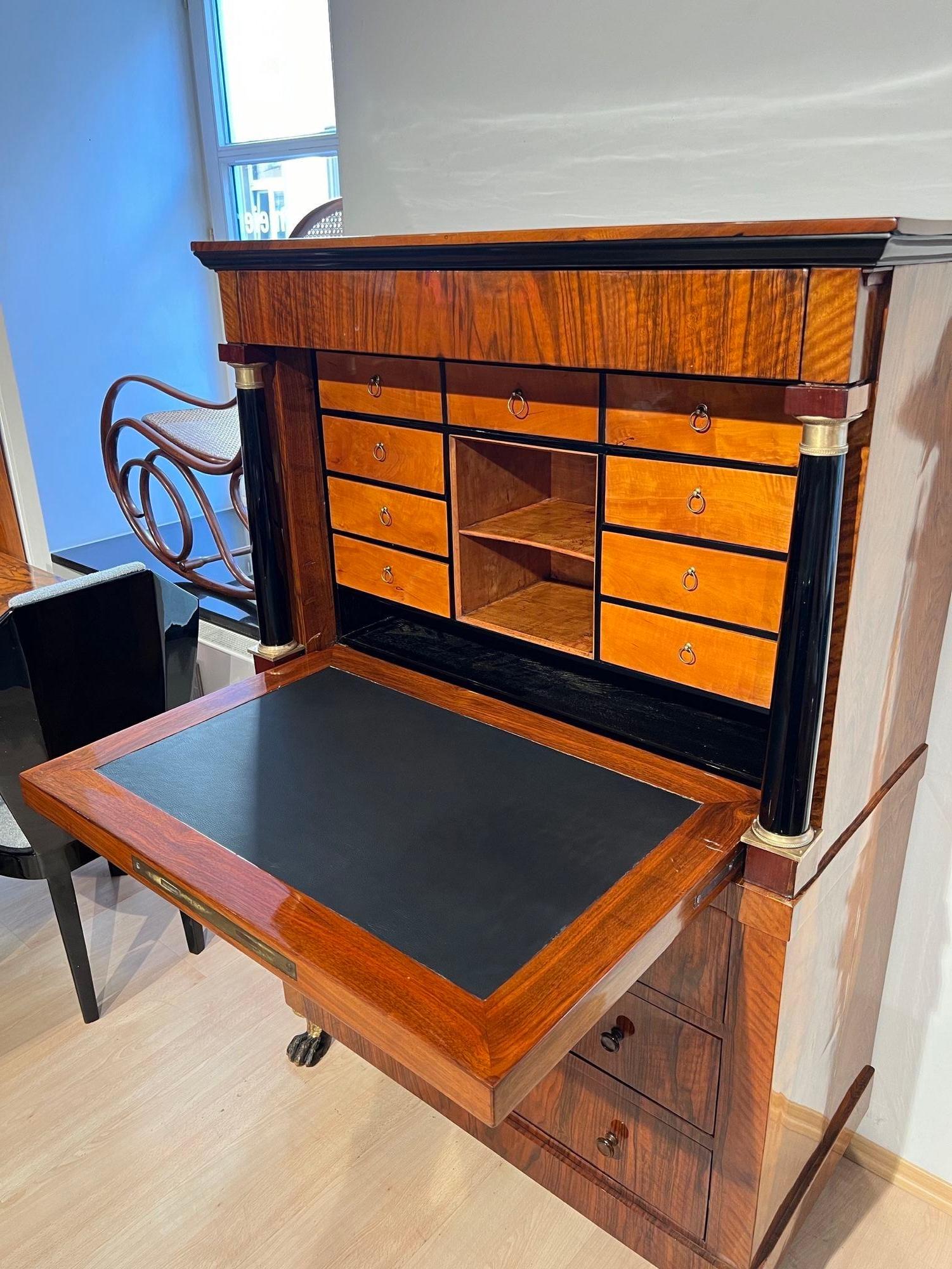 Biedermeier Secretaire, Walnut, Maple, Paw Feet, Austria circa 1820 im Angebot 10