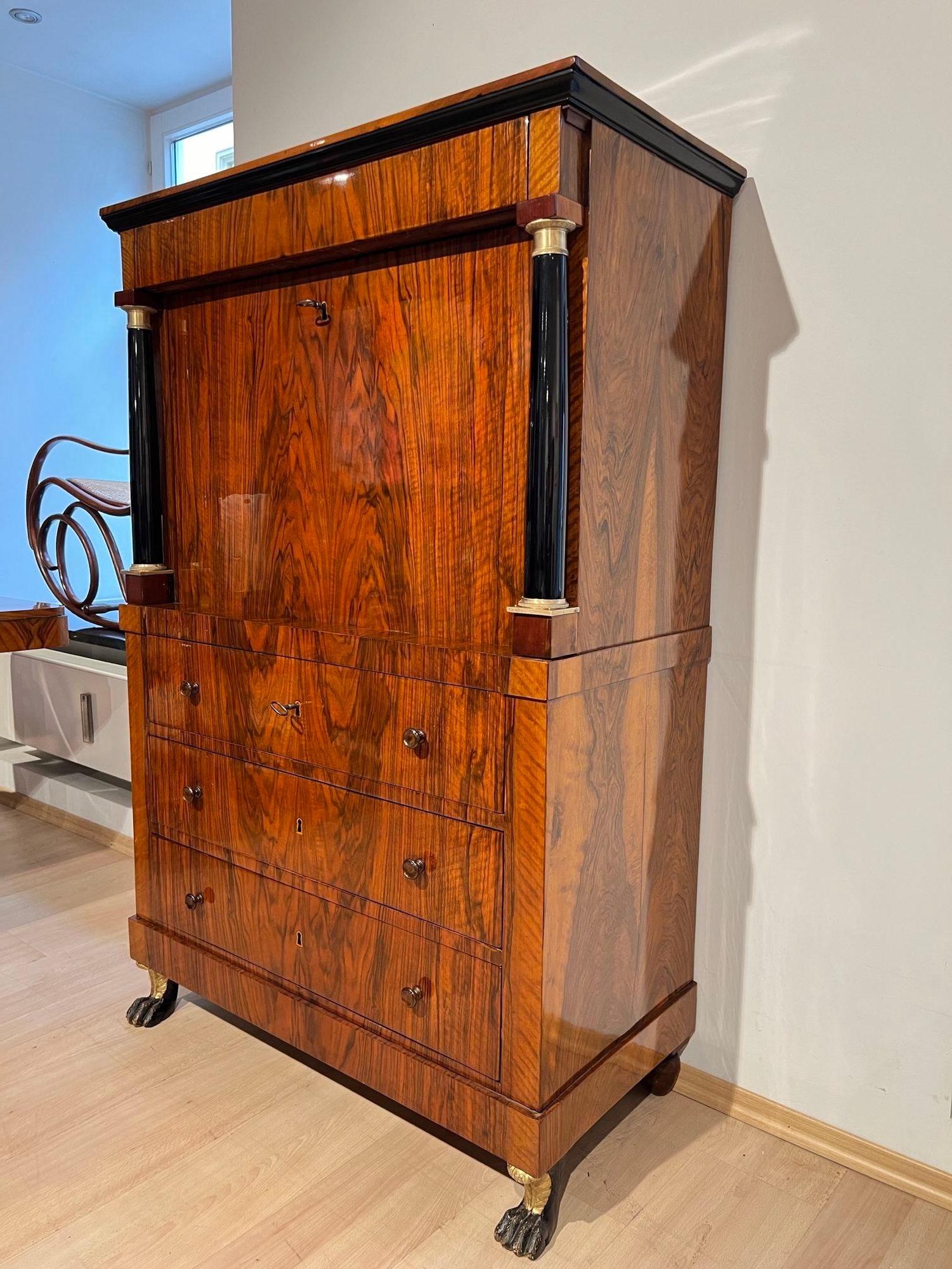 Biedermeier Secretaire, Walnut, Maple, Paw Feet, Austria circa 1820 (Ebonisiert) im Angebot