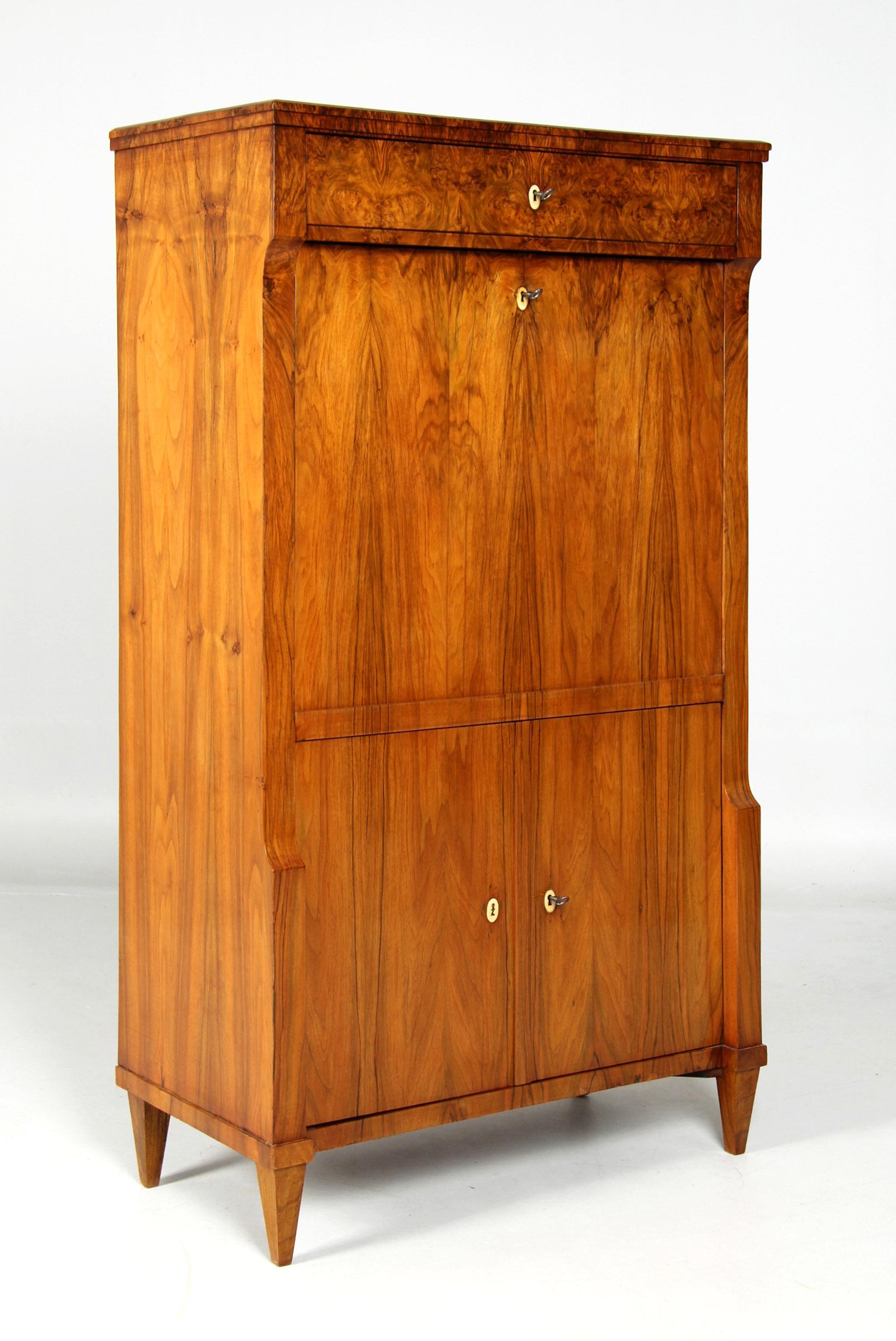 Painted Biedermeier Secretaire with Hidden Compartement, Walnut, Austria circa 1820