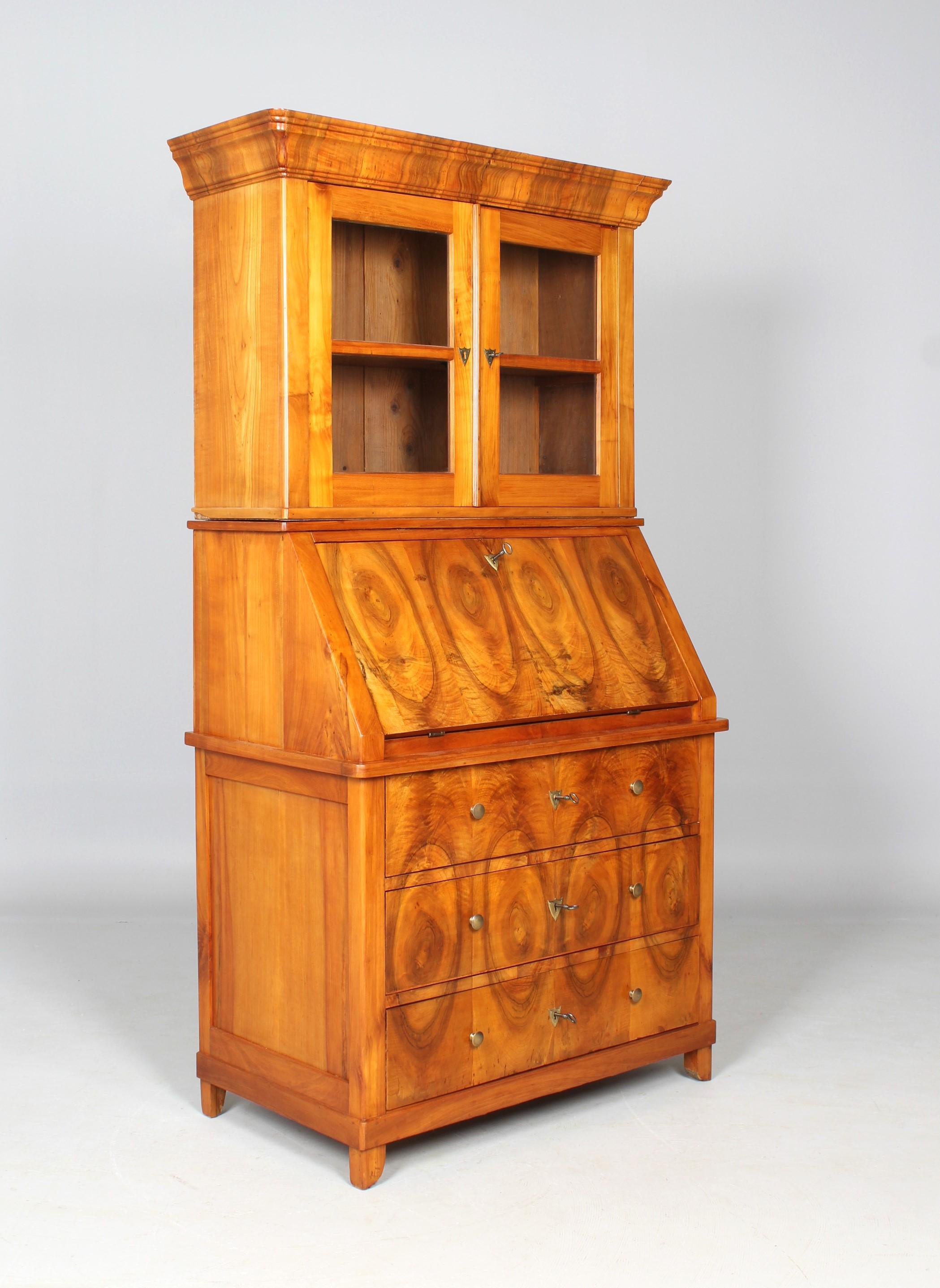 Biedermeier Secretary, Bookcase, Cherry, Walnut, 1840s For Sale 8