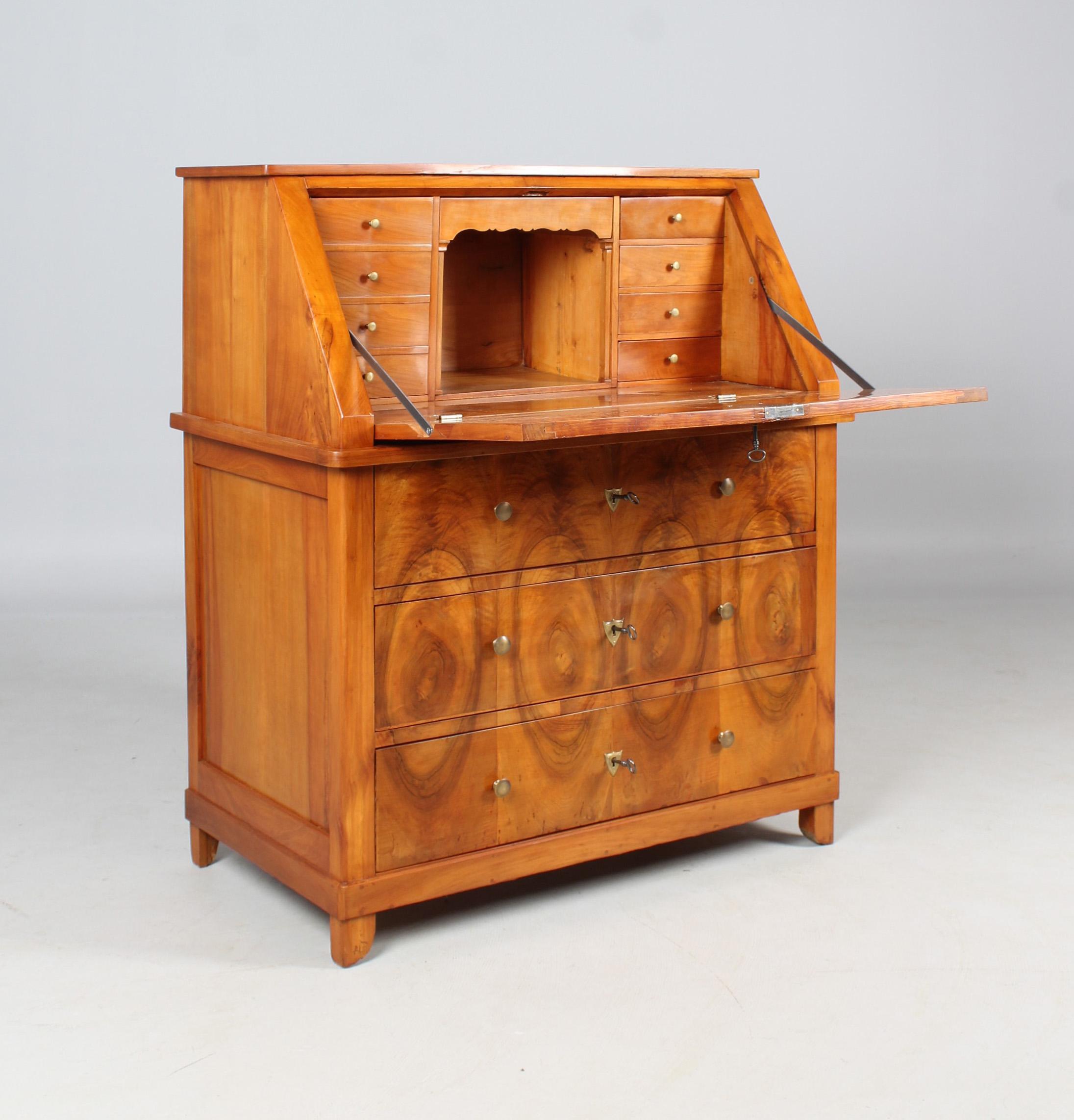 Biedermeier Secretary, Bookcase, Cherry, Walnut, 1840s For Sale 9