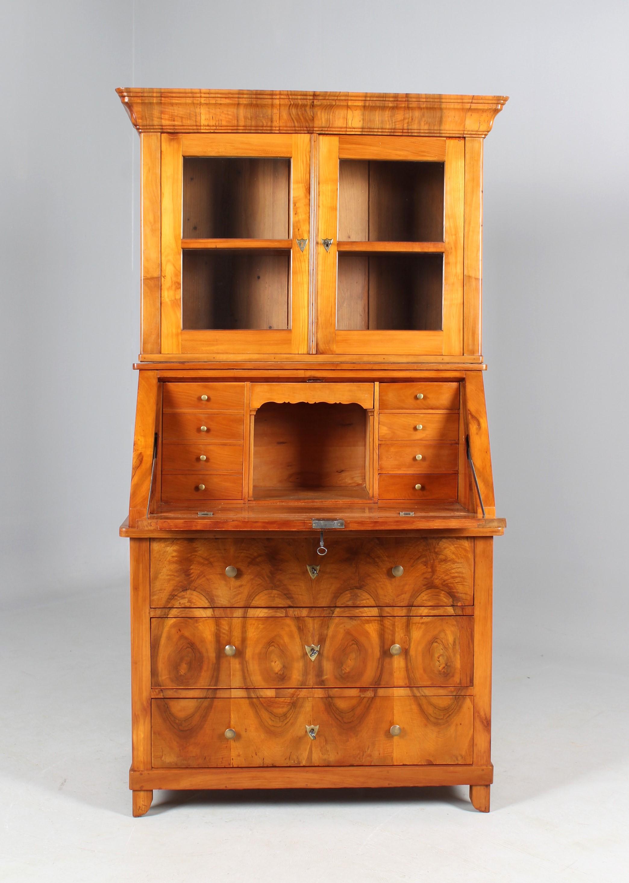 Biedermeier Secretary, Bookcase, Cherry, Walnut, 1840s For Sale 4