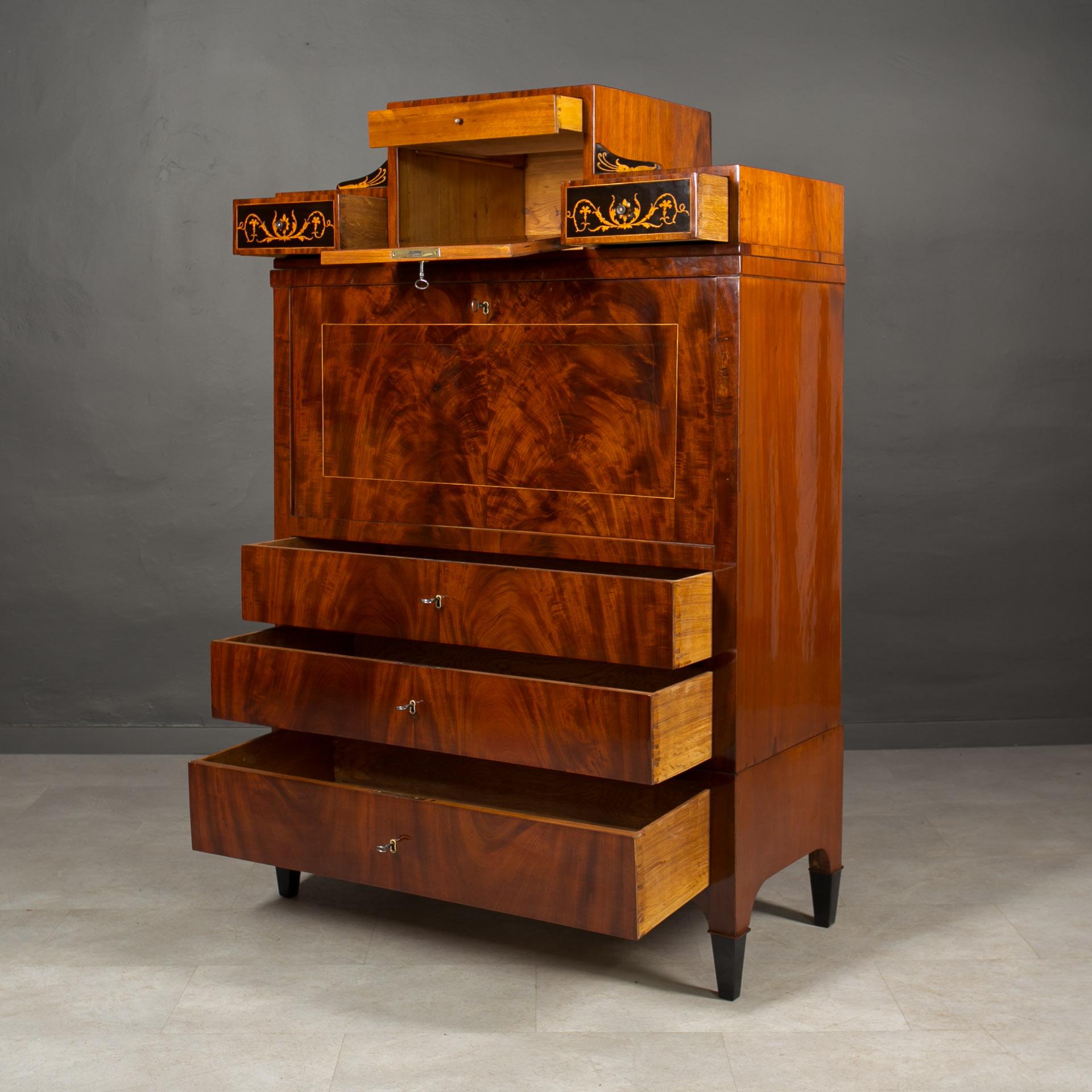 Biedermeier Secretary Desk, Austria, 19th Century For Sale 3