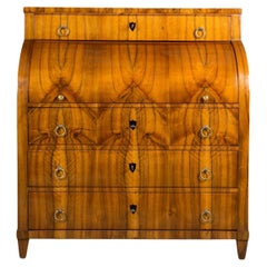 Antique Biedermeier Secretary Desk in Walnut, Germany, 19th Century, Restored