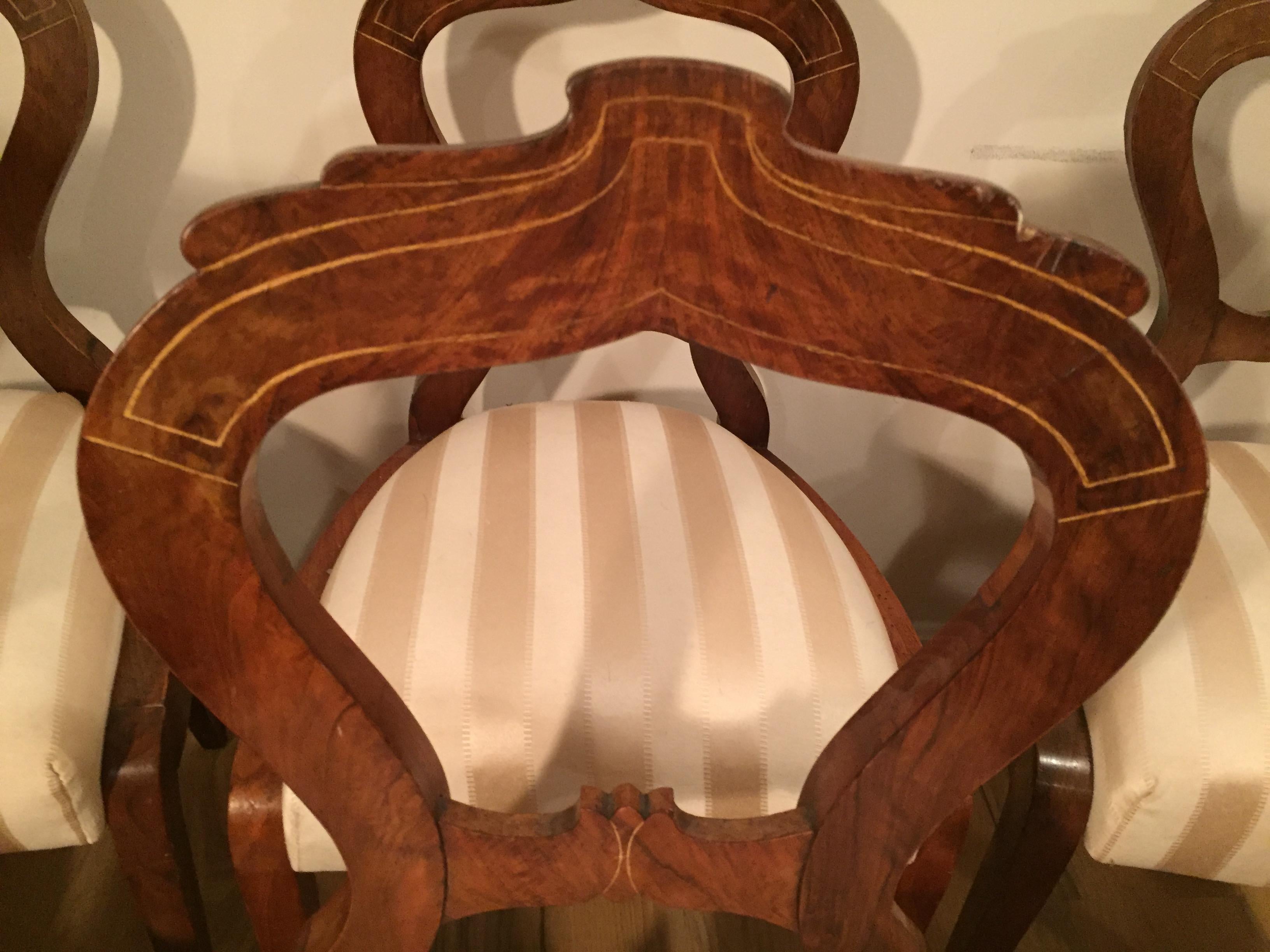 Austrian Rare Highly  Elegant Biedermeier Set of 6 Dining Chairs Dannhauser For Sale