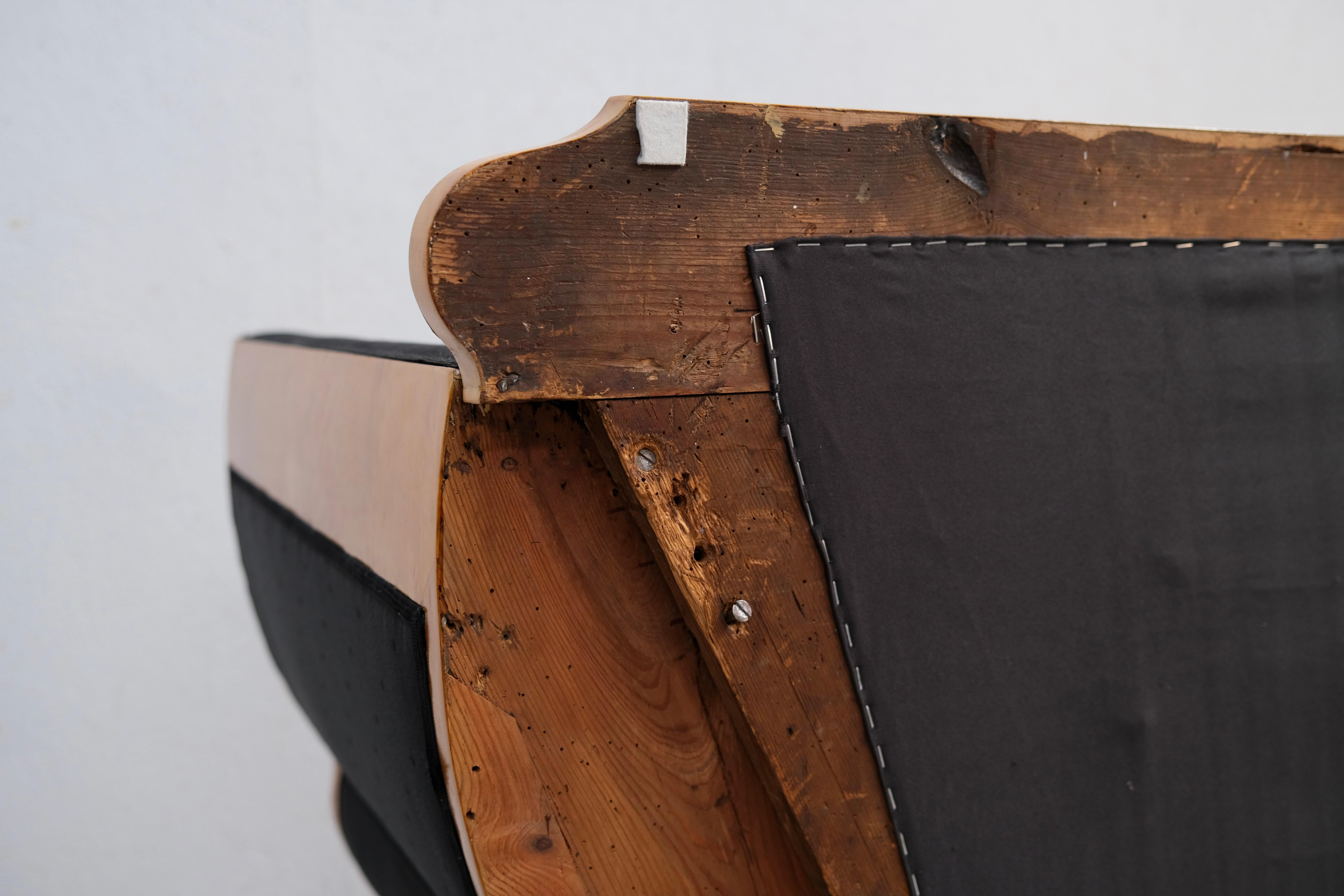 Biedermeier Sofa in Birch with Mythical Creatures and Black Upholstery, 1820 For Sale 12