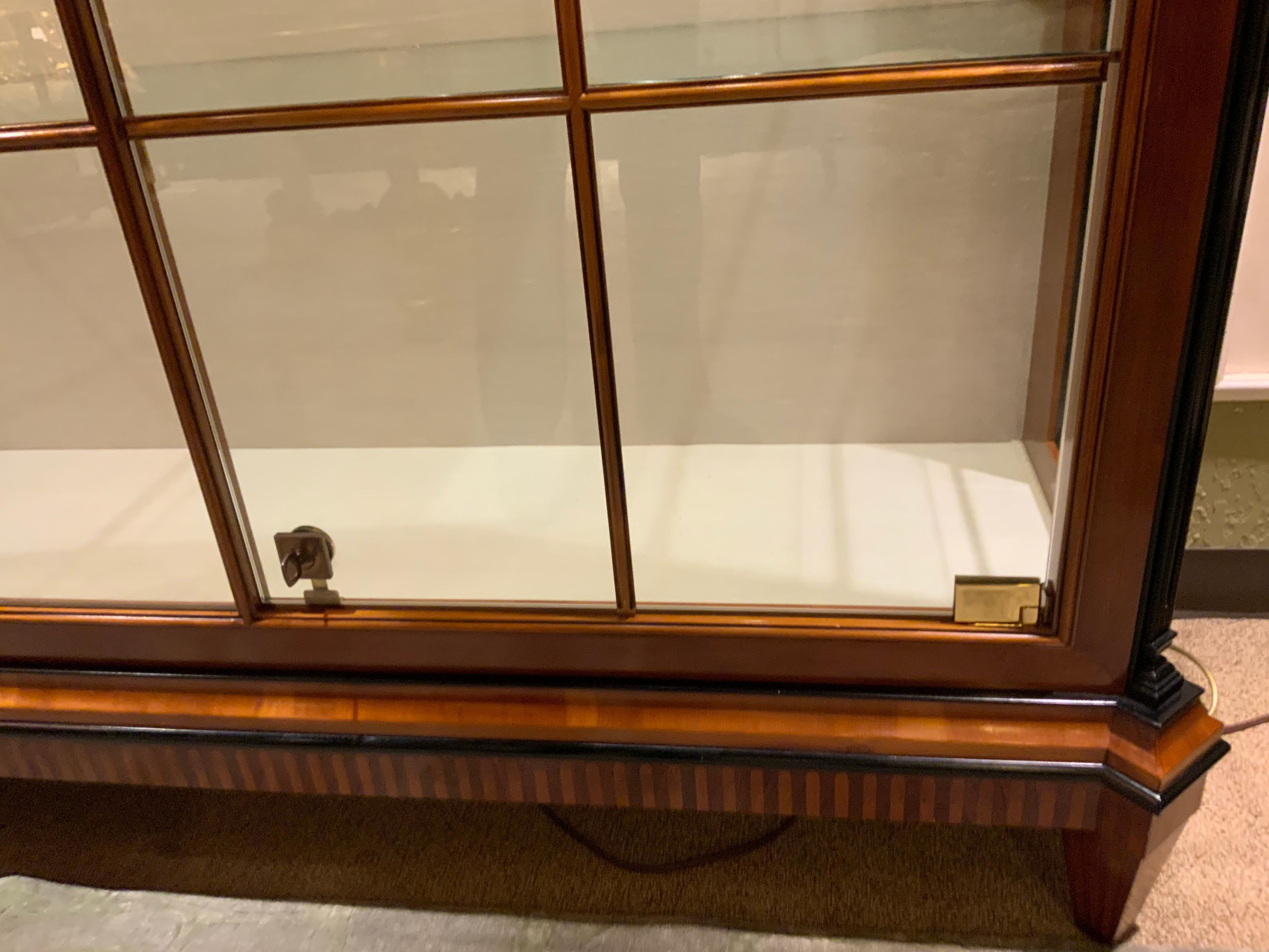 20th Century Vitrine Cabinet, Yew Wood and Cherrywood with Ebony Trim For Sale