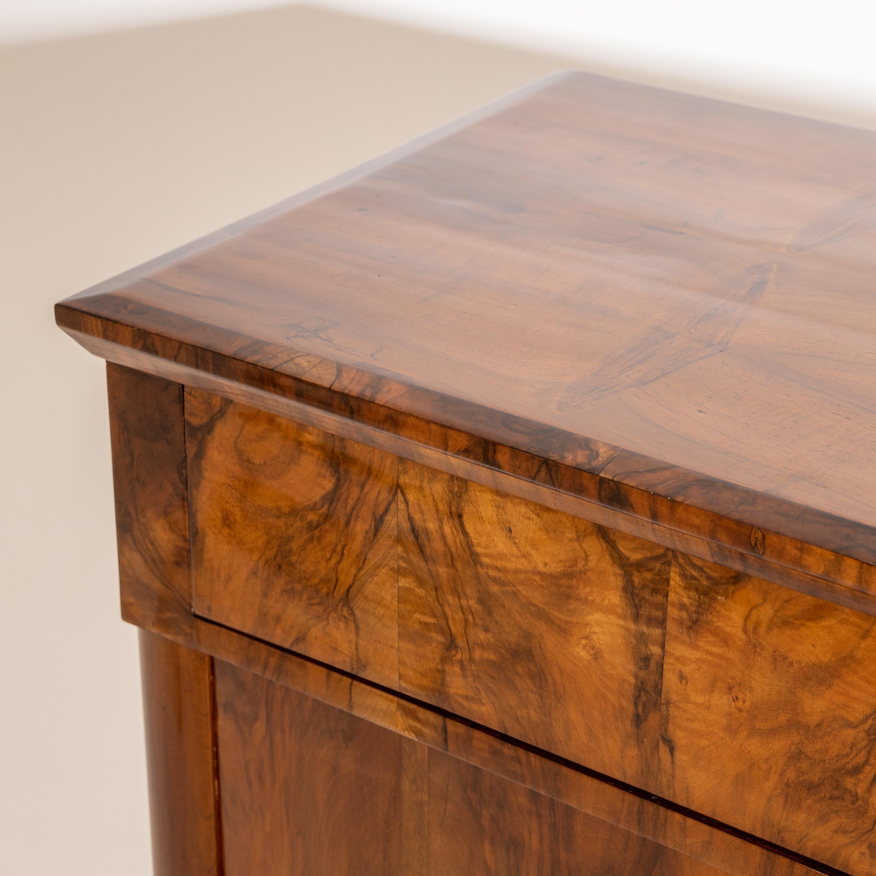 Biedermeier Walnut Cabinet, German, circa 1820 1