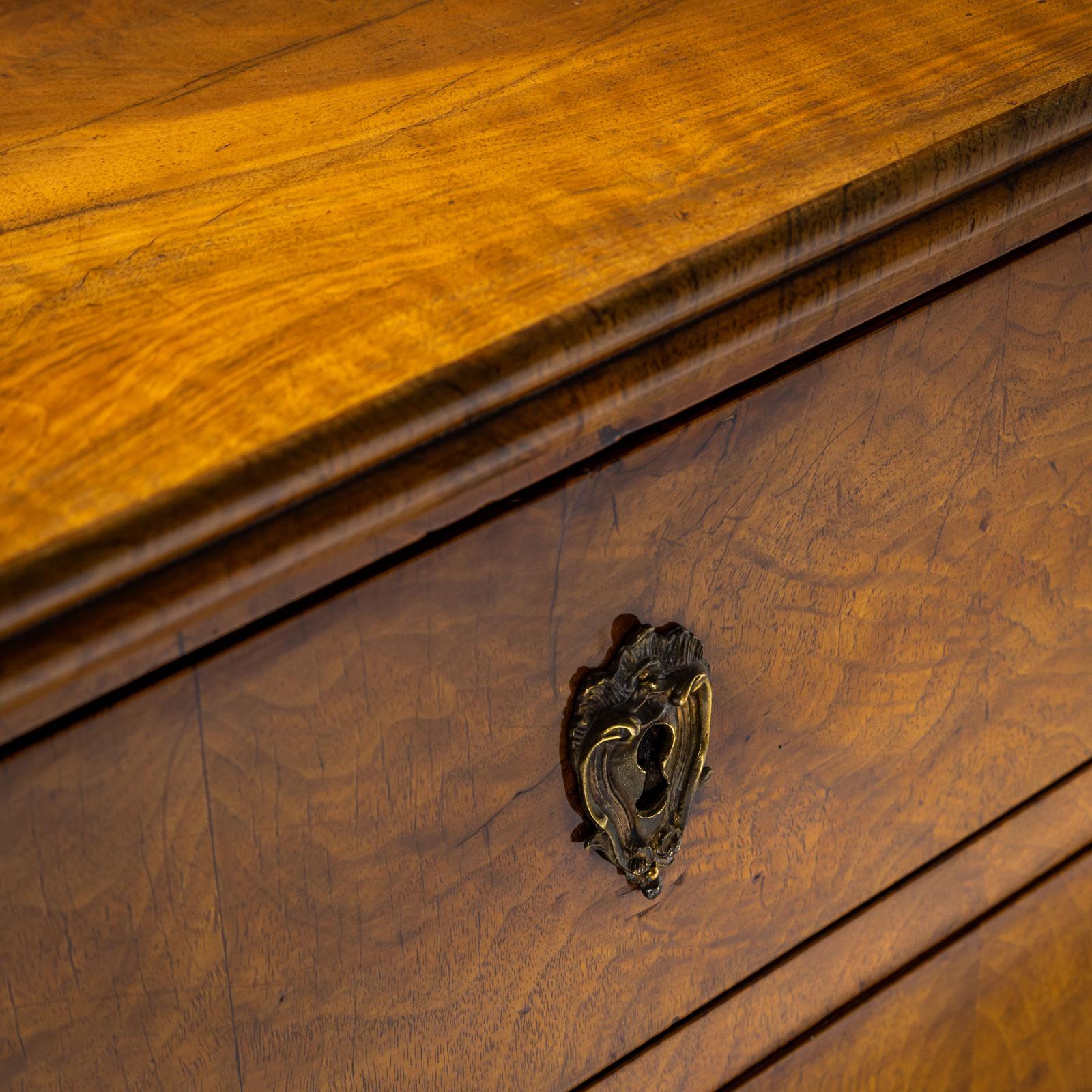 Cassettiera in noce Biedermeier, circa 1820 5
