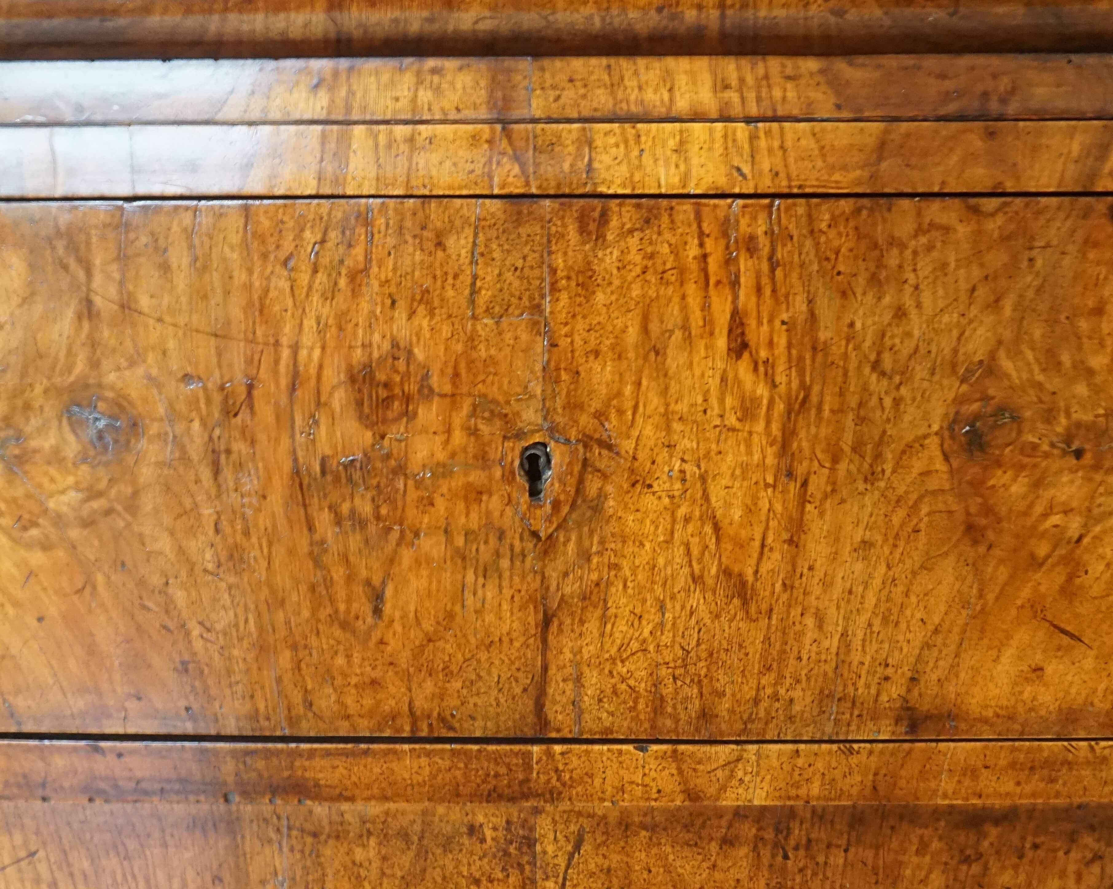 Biedermeier Walnut Commode or Chest of Unusual Form, Austria, circa 1840 4