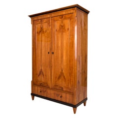 Biedermeier Wardrobe in Cherrywood Veneer, Germany, 19th Century