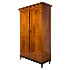 Used Biedermeier Wardrobe in Solid Cherrywood Veneer, Germany, 19th Century