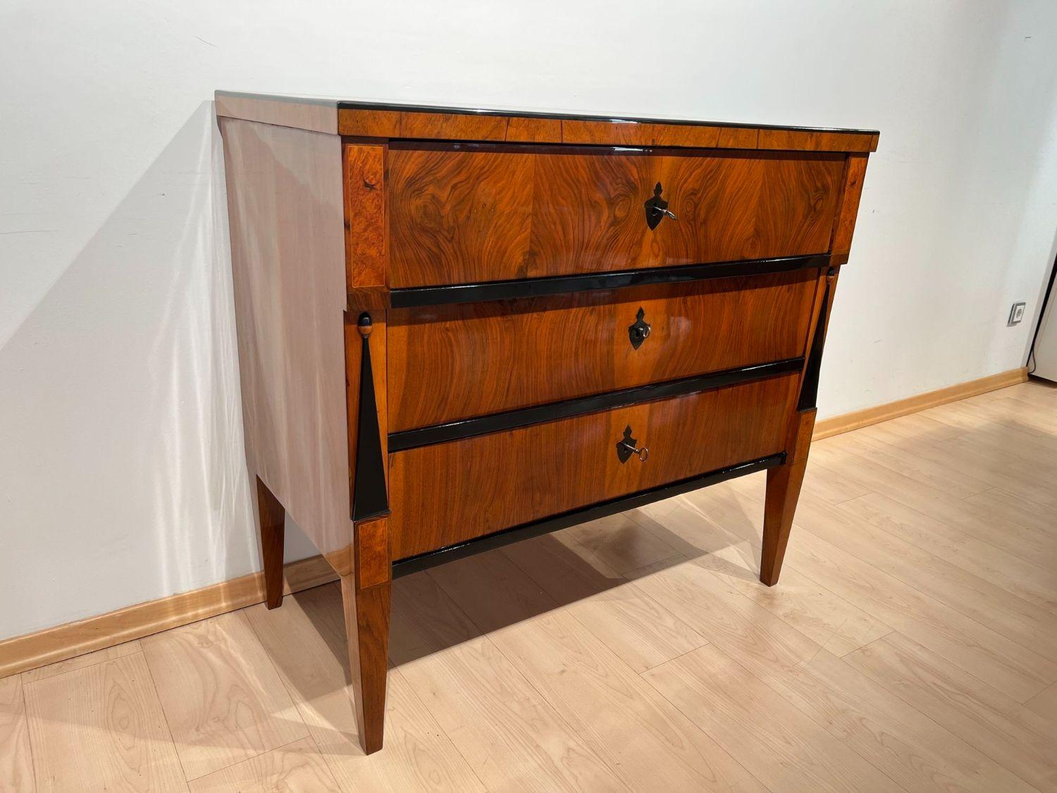 Biedermeier Writing Chest, Walnut Veneer, Ebonized, South Germany circa 1825 2